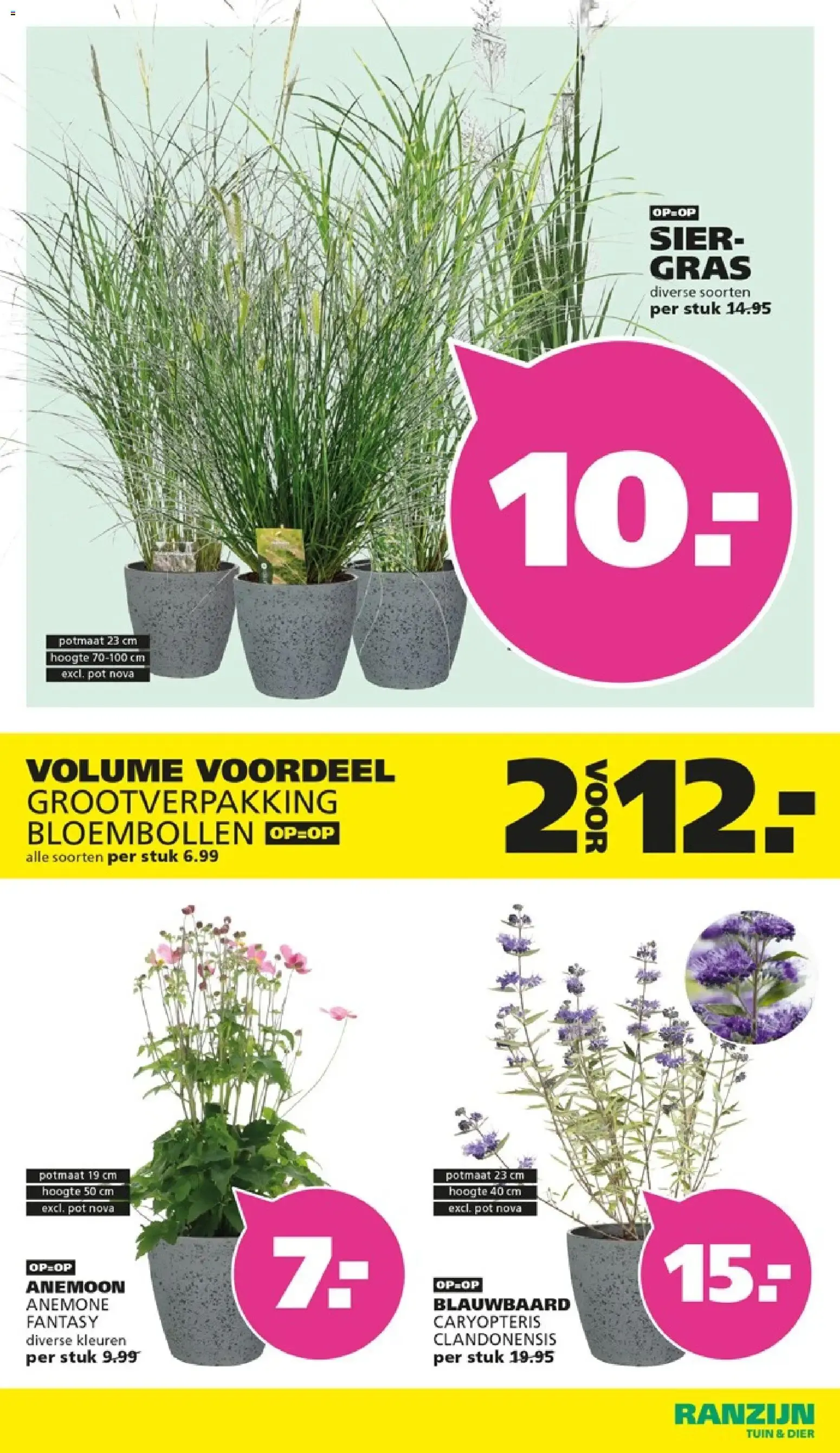Weg met vlooien en teken! van 23 augustus tot 5 september 2026 - Folder pagina 13