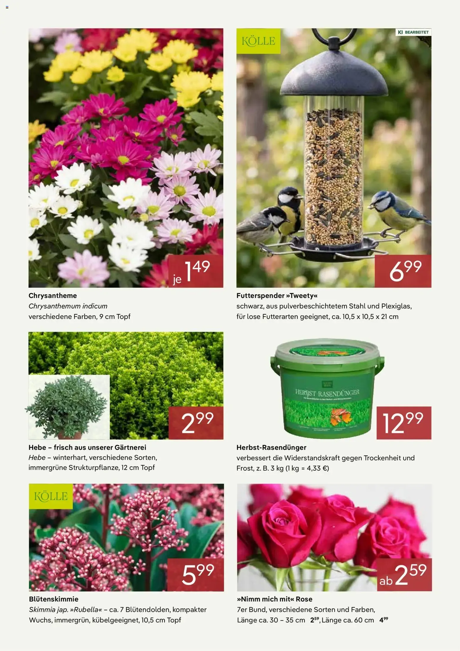 Unsere starken Dauerpreise von 1. Oktober bis 31. Oktober 2026 - Prospekt seite 2