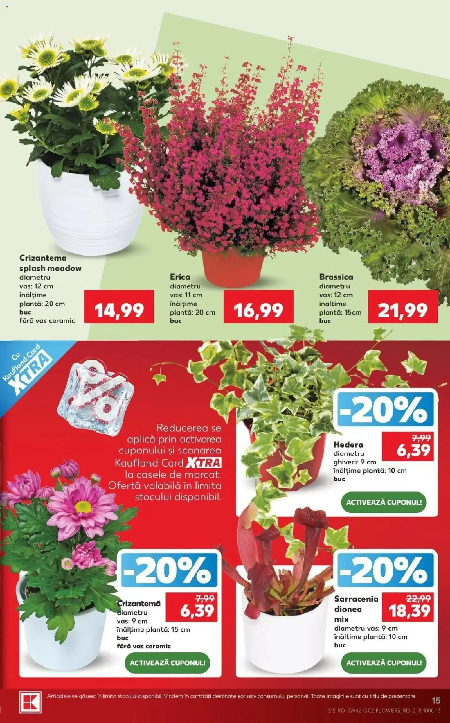 Catalog Kaufland - Revista si Oferta de la 14 octombrie până la 20 octombrie 2026 - Revista Pagina 15