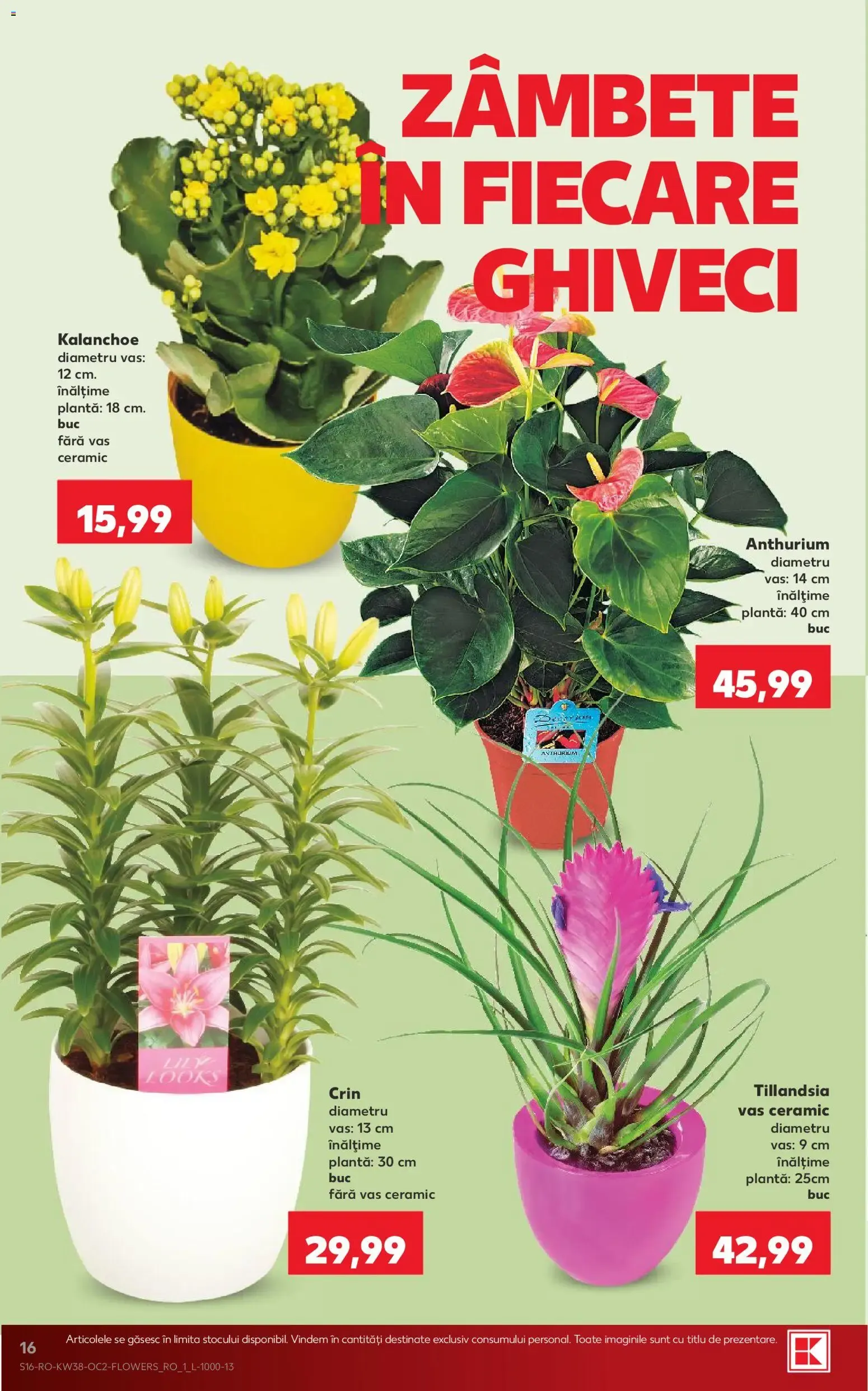 Catalog Kaufland Catalog 16.09.2026 - Revista si Oferta de la 16 septembrie până la 22 septembrie 2026 - Revista Pagina 16