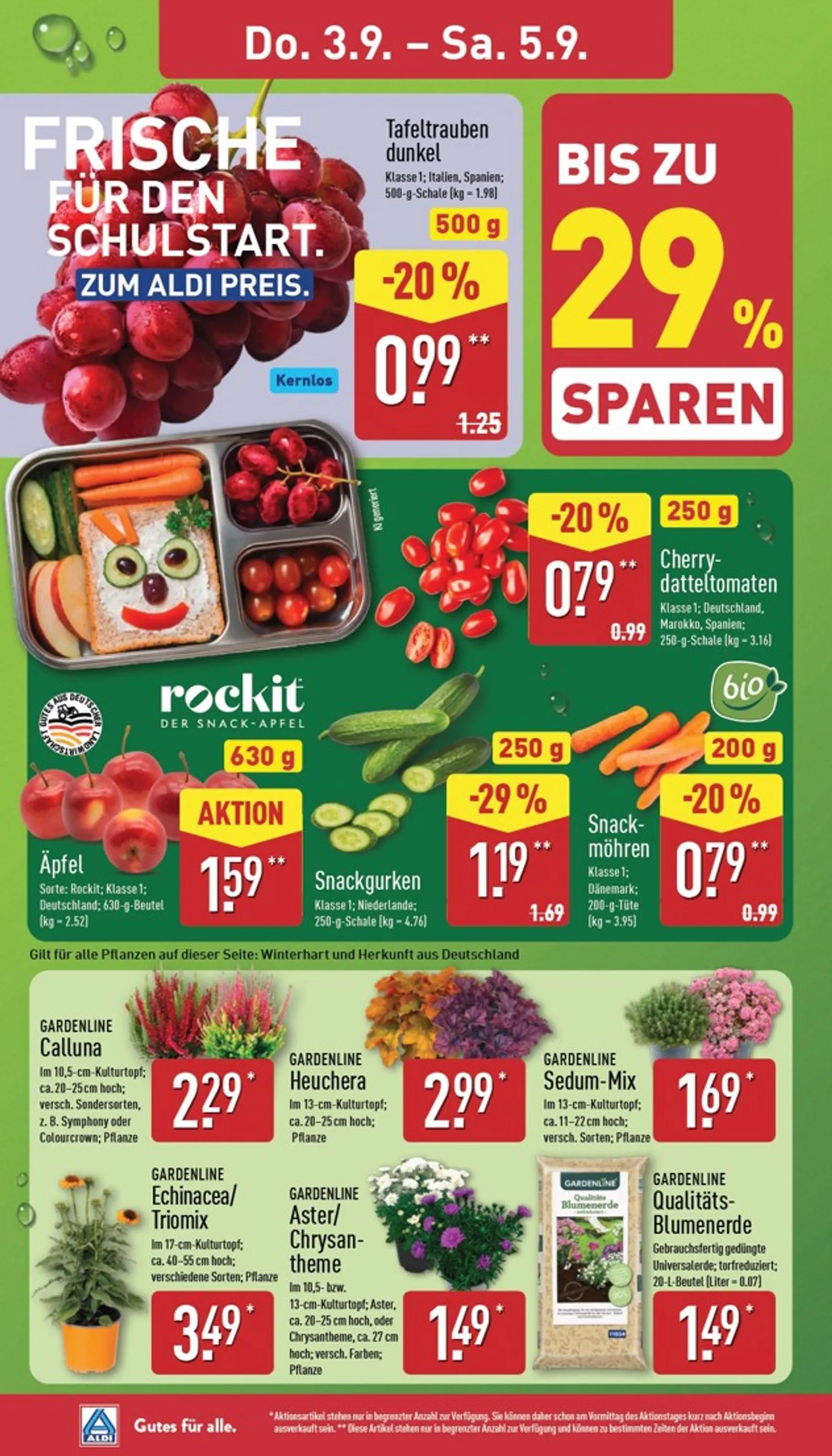 ALDI NORD Prospekt nächste Woche – von Montag 31.08.2026 bis Samstag 05.09.2026 von 31. August bis 5. September 2026 - Prospekt seite 28