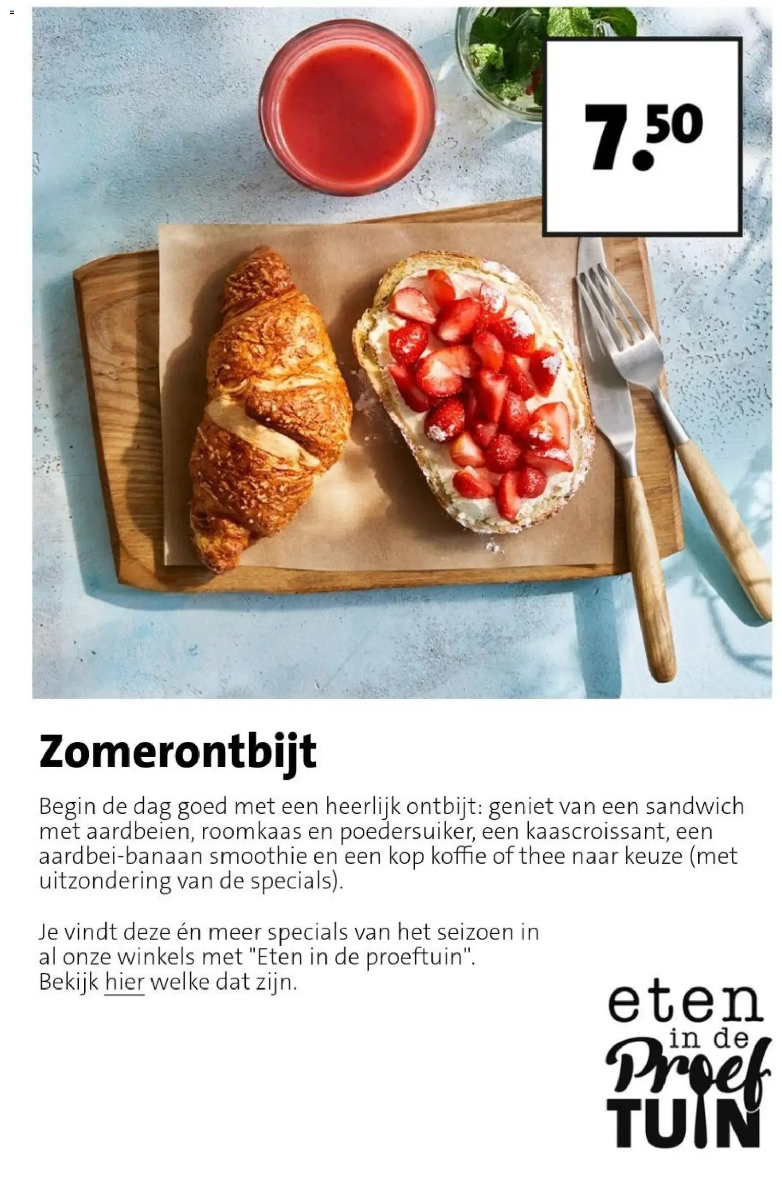 Intratuin: SALE tot 50% korting van 17 augustus tot 23 augustus 2026 - Folder pagina 14