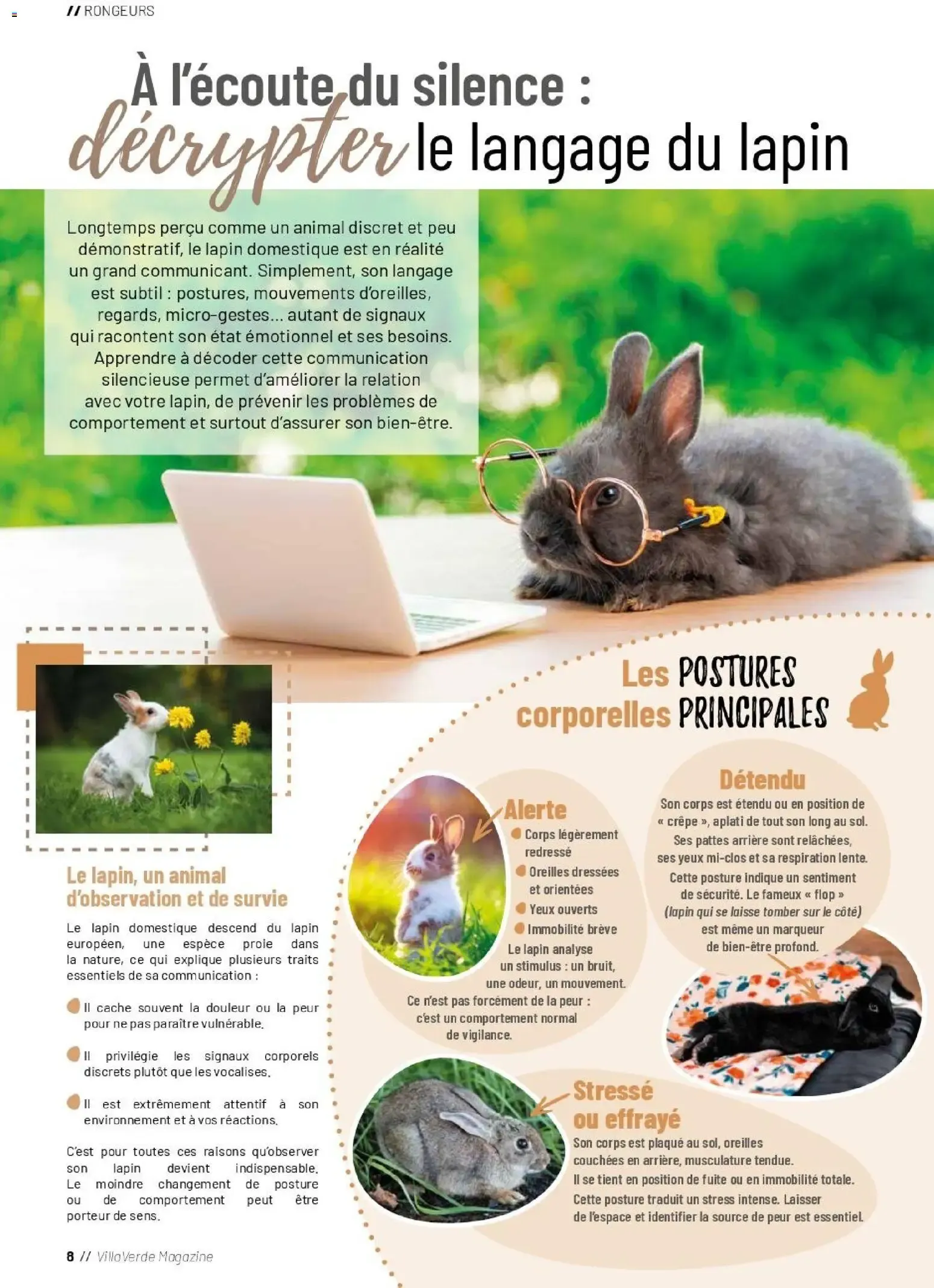 VillaVerde MAGAZINE ANIMALERIE 2026 du 28 mai au 31 août 2026 - Catalogue page 7