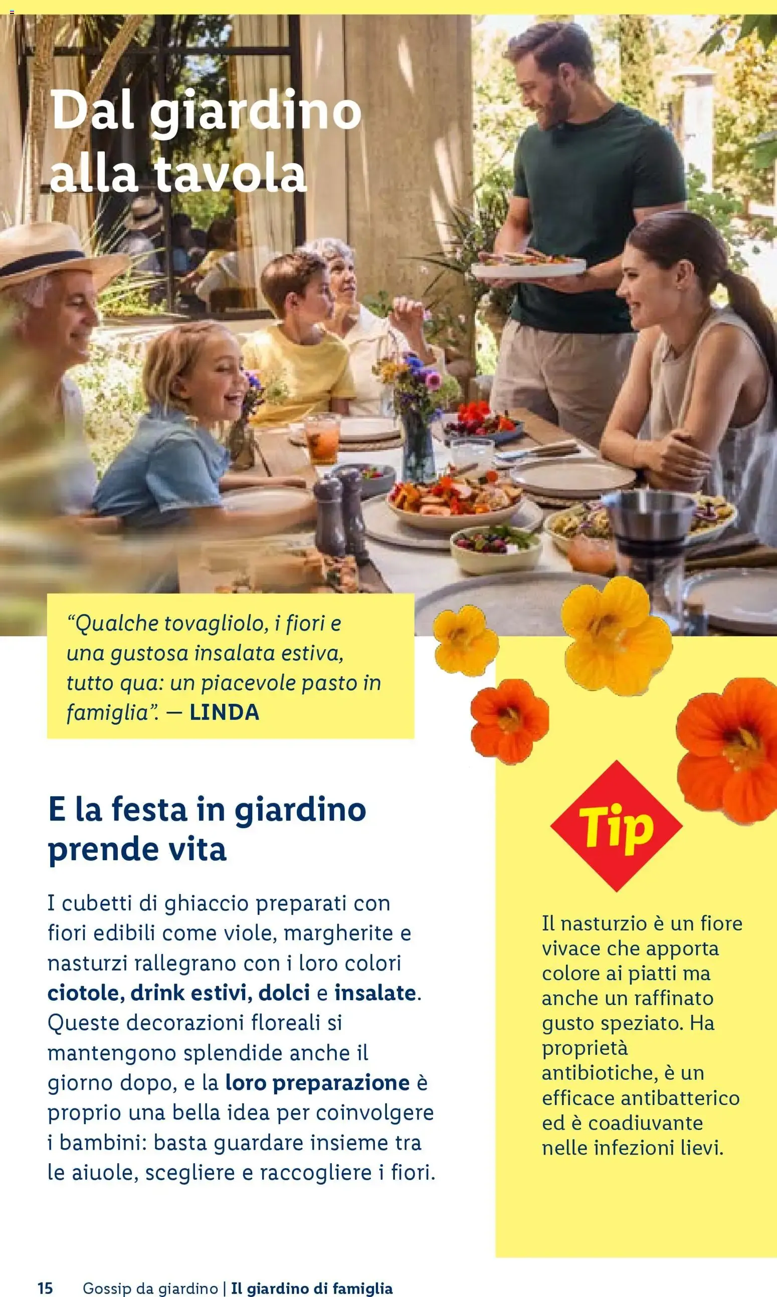 Vivi il tuo giardino - Rivista per il giardinaggio Primavera 2026 da 23 aprile a 1 luglio di 2026 - Pagina del volantino 15