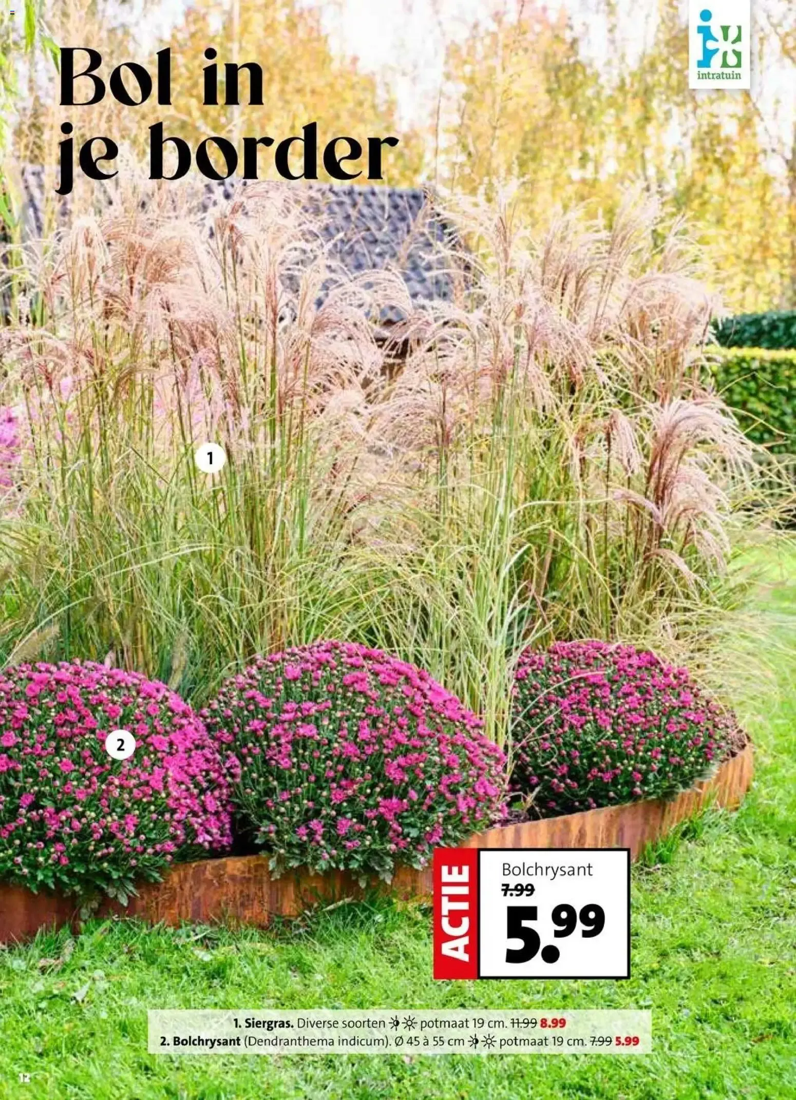 Intratuin: Feest voor ieder beest! Krabpalen 25% korting van 28 september tot 4 oktober 2026 - Folder pagina 8