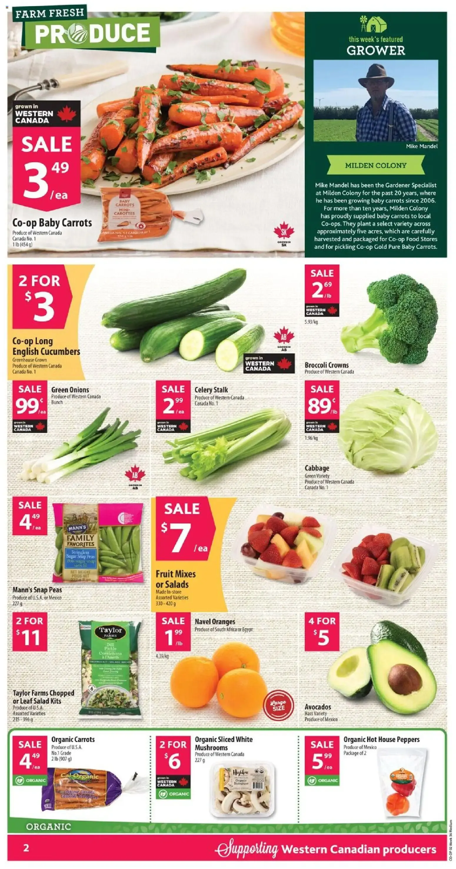 Co-op Food weekly flyer / circulaire from Sep 3, 2026 > weekly specials & deals from September 3 to September 9 2026 - flyer page 3