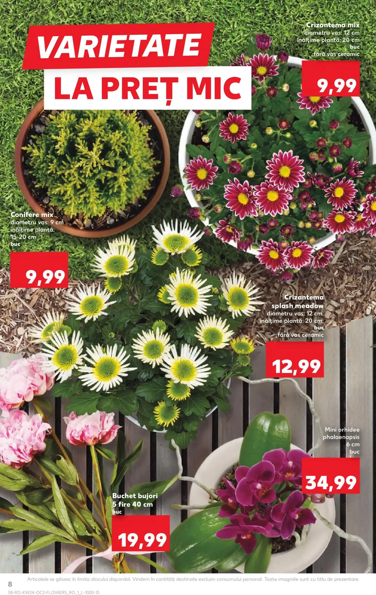 Catalog Kaufland Catalog 10.06.2026 - Revista si Oferta de la 10 iunie până la 16 iunie 2026 - Revista Pagina 8