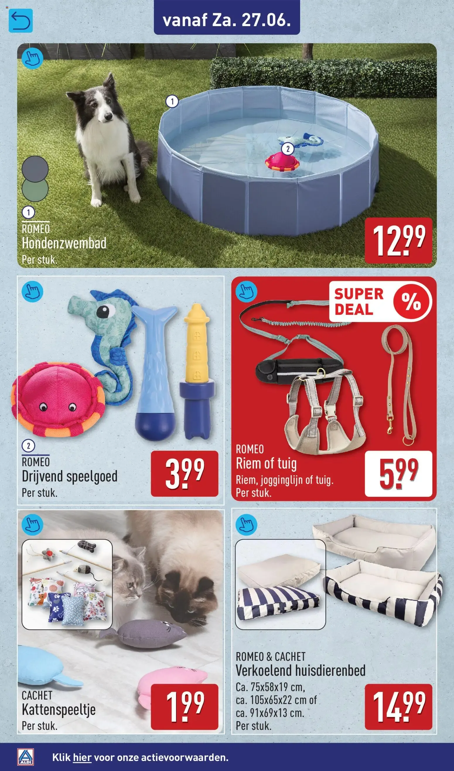 Aldi: Zomerse Weekendacties van 26 juni tot 28 juni 2026 - Folder pagina 10