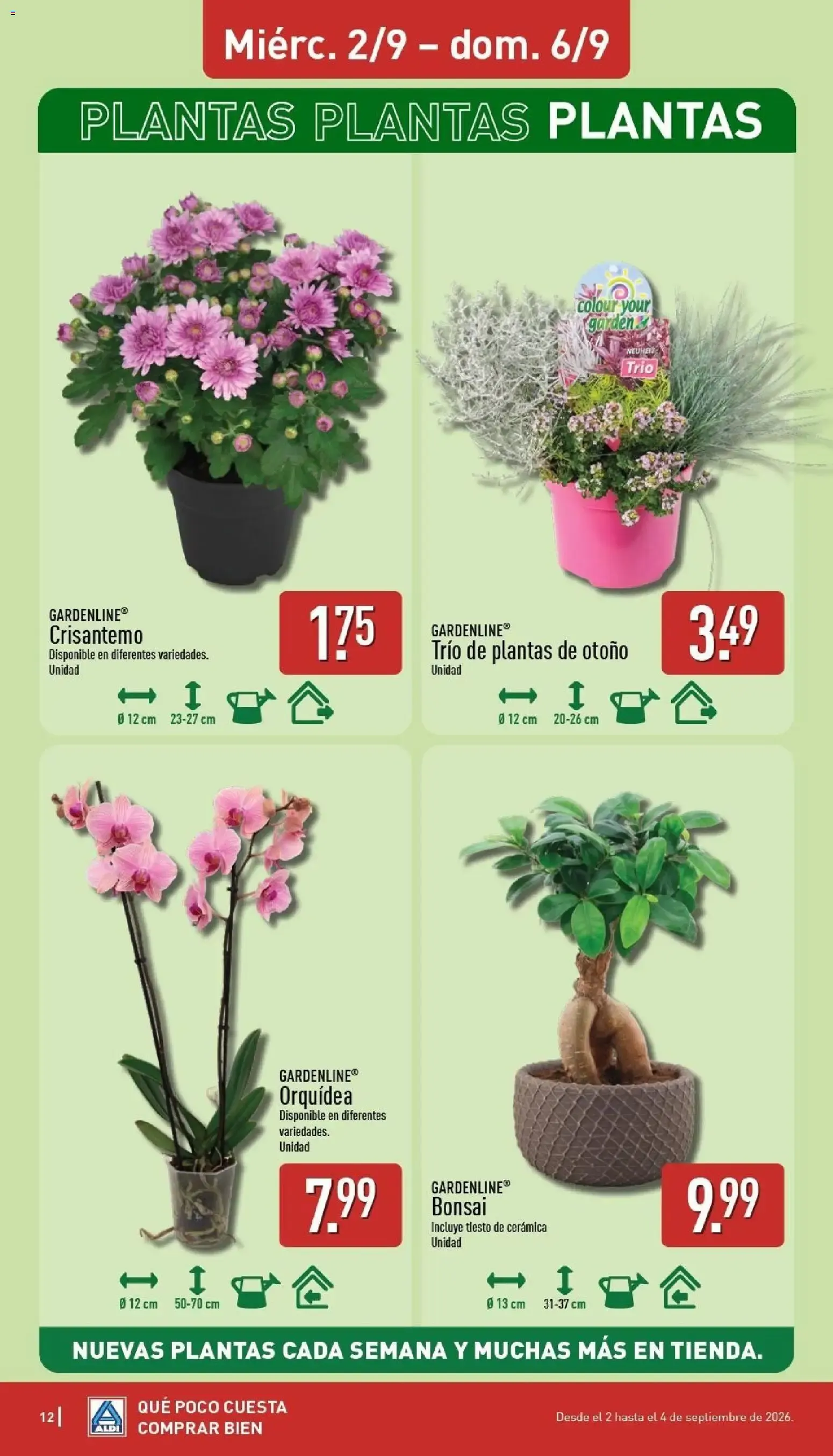 Catálogo de Aldi folleto Península del 31/08/2026 | Catálogo 31 de agosto al 6 de septiembre 2026 - Página 11