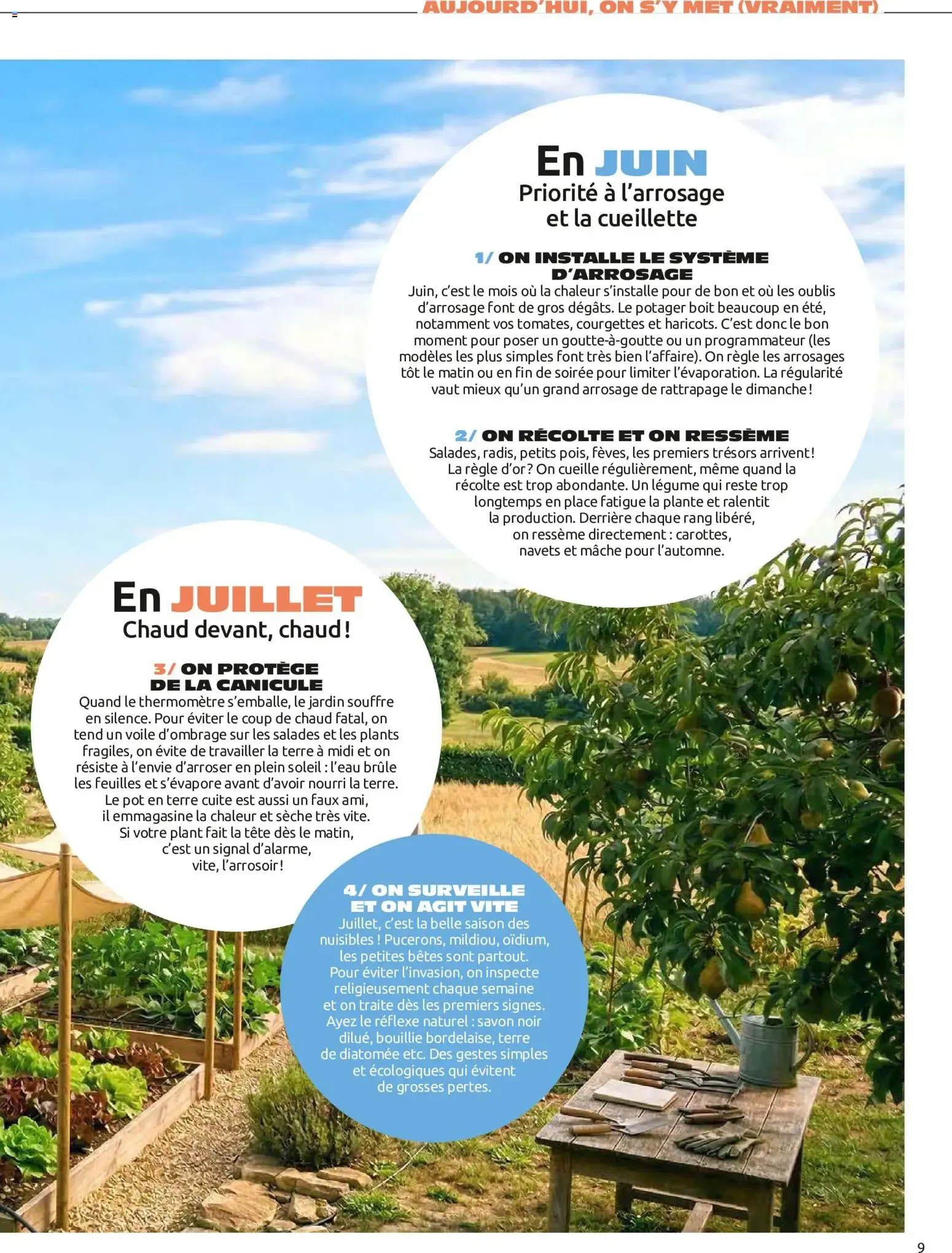 Entre VOISINS... LE MAGAZINE DU "FAIRE ENSEMBLE" du 3 juillet au 16 septembre 2026 - Catalogue page 9