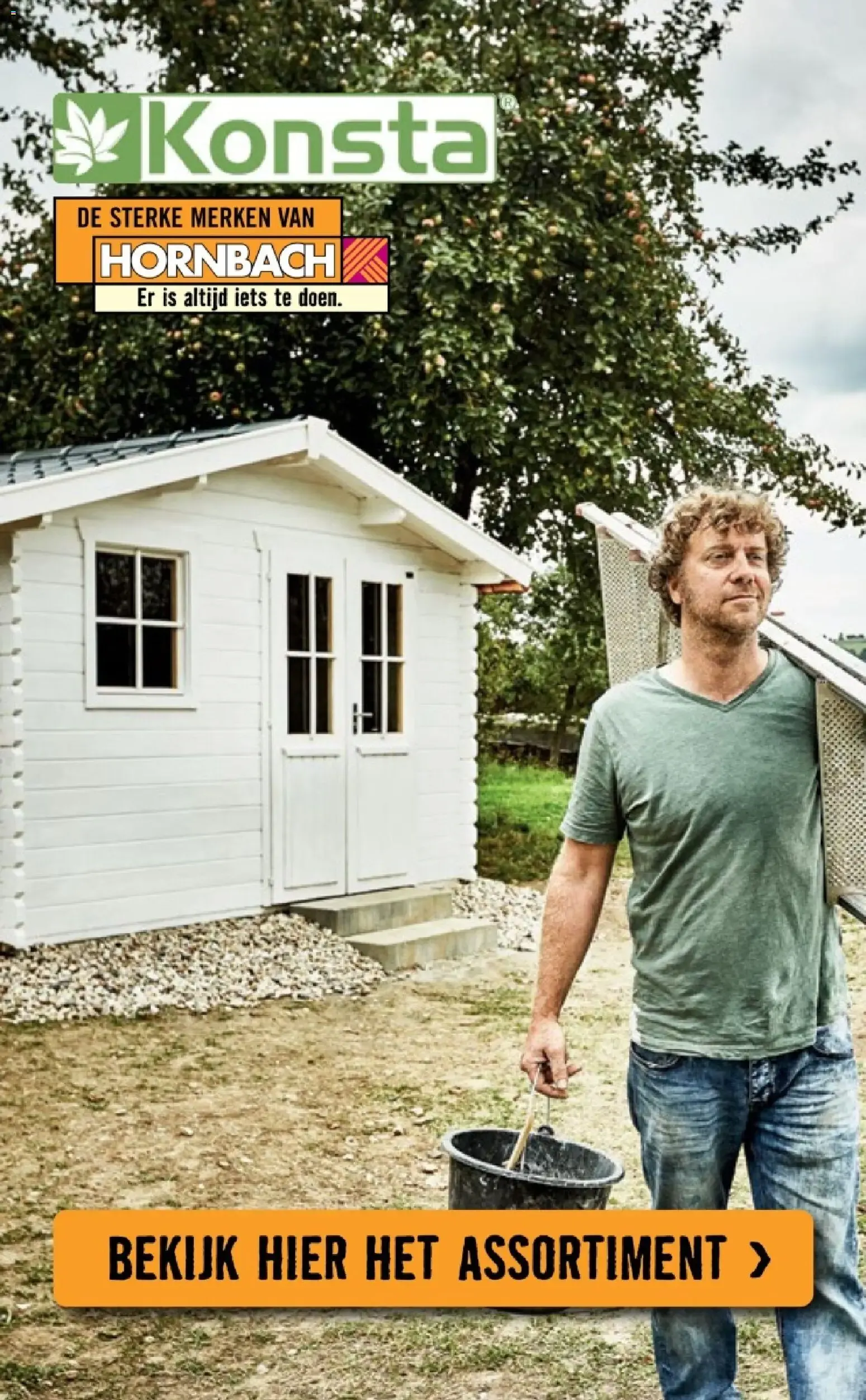 HORNBACH: Hout, bouwstoffen en schroeven van 6 juli tot 16 augustus 2026 - Folder pagina 6