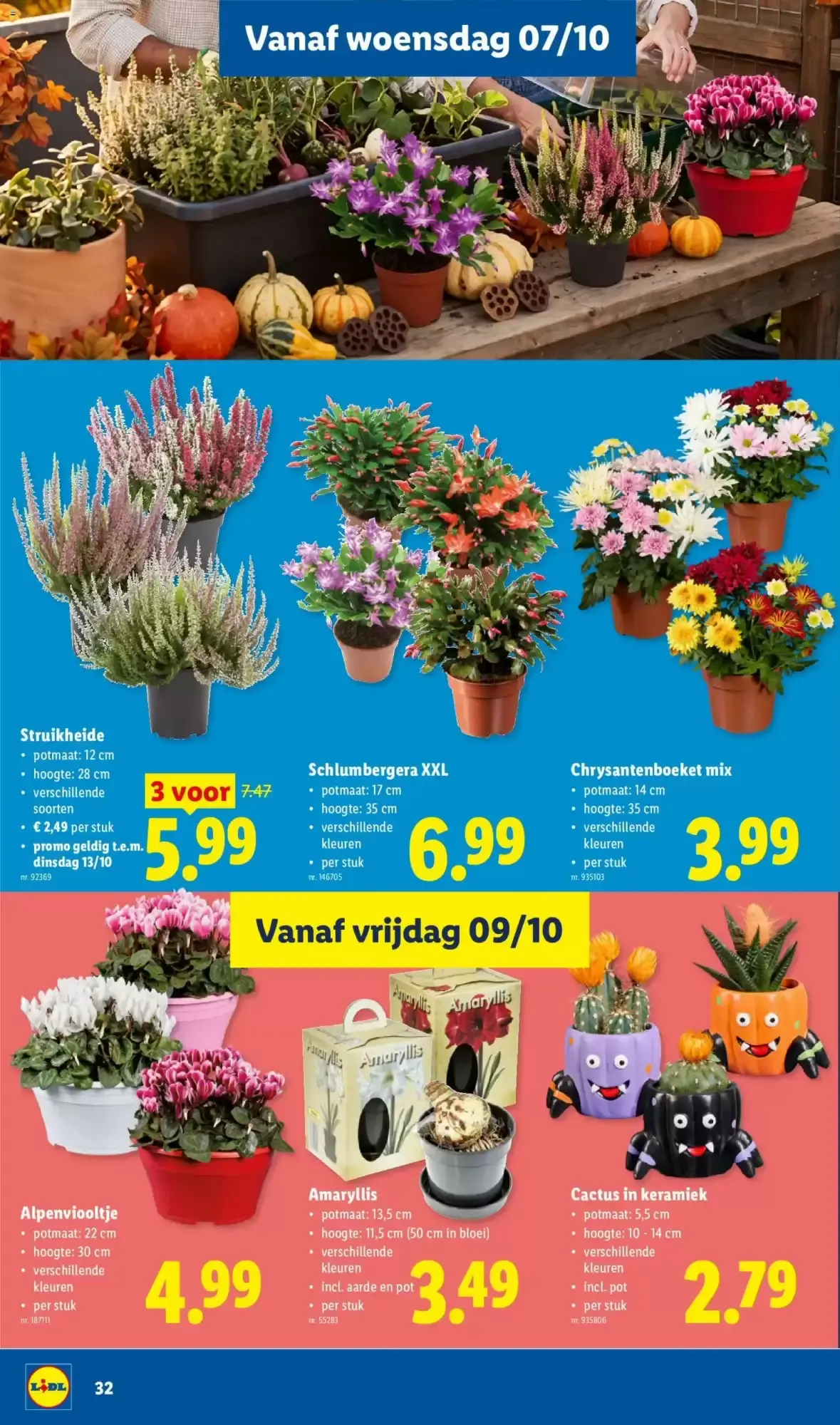 Lidl folder week 41 van 5 oktober tot 10 oktober 2026 - folder pagina 32