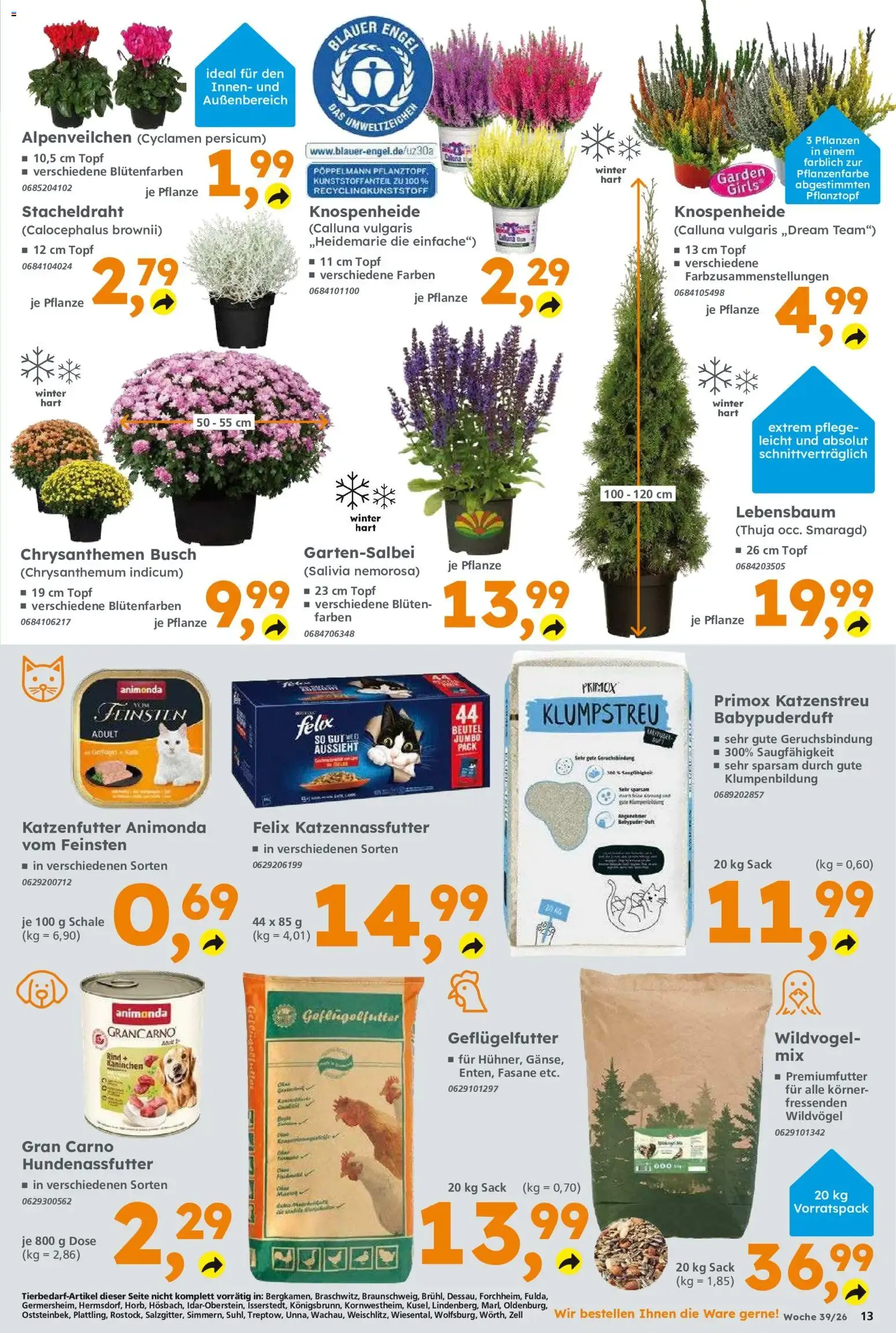 Globus Baumarkt Prospekt (ab 20.09.2026) zum Blättern von 20. September bis 26. September 2026 - Prospekt seite 13