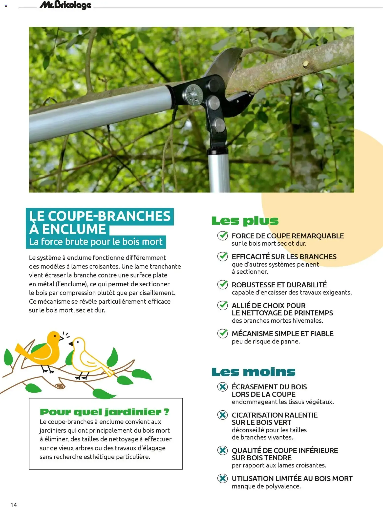 Entre Voisins du 1 avril au 30 juin 2026 - Catalogue page 13