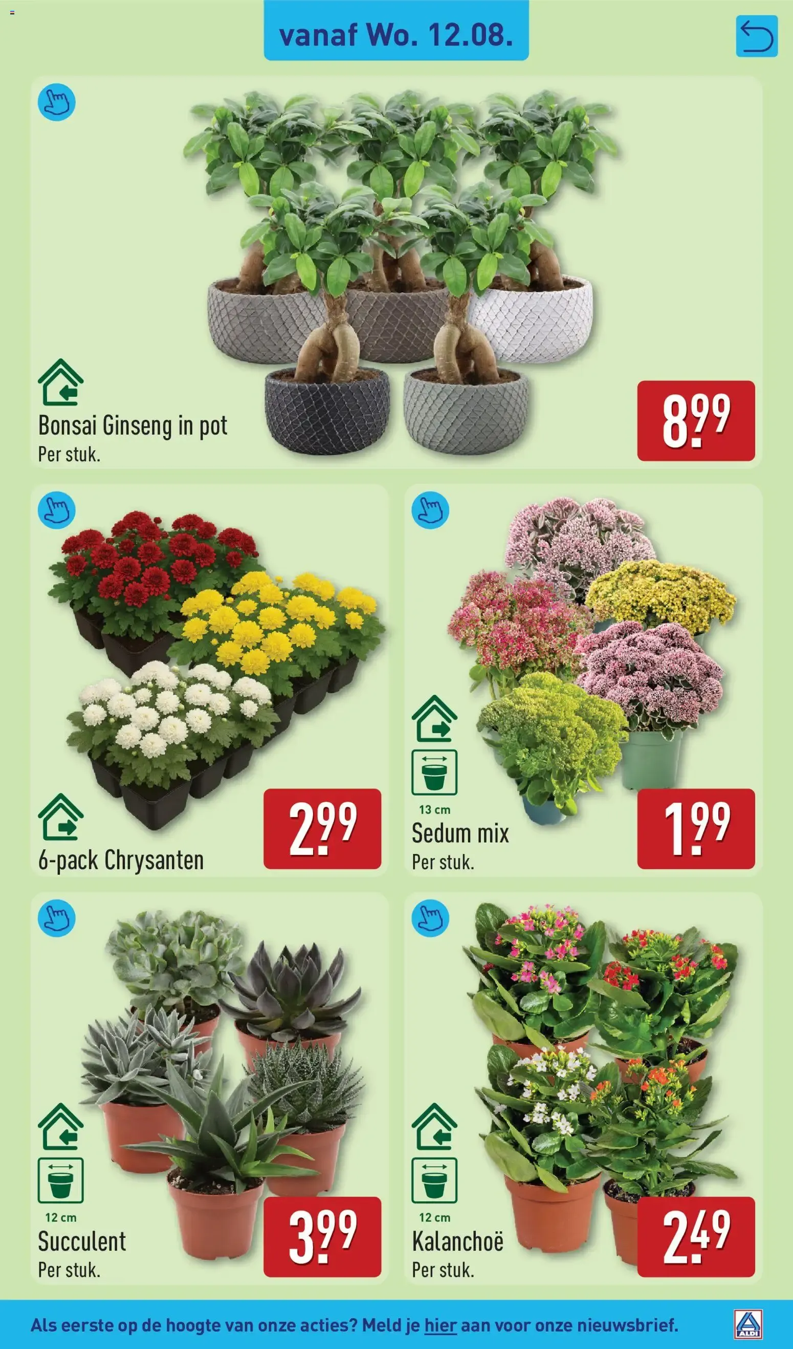 Aldi folder vanaf 10-08-2026 (volgende, deze week) van 10 augustus tot 16 augustus 2026 - Folder pagina 31