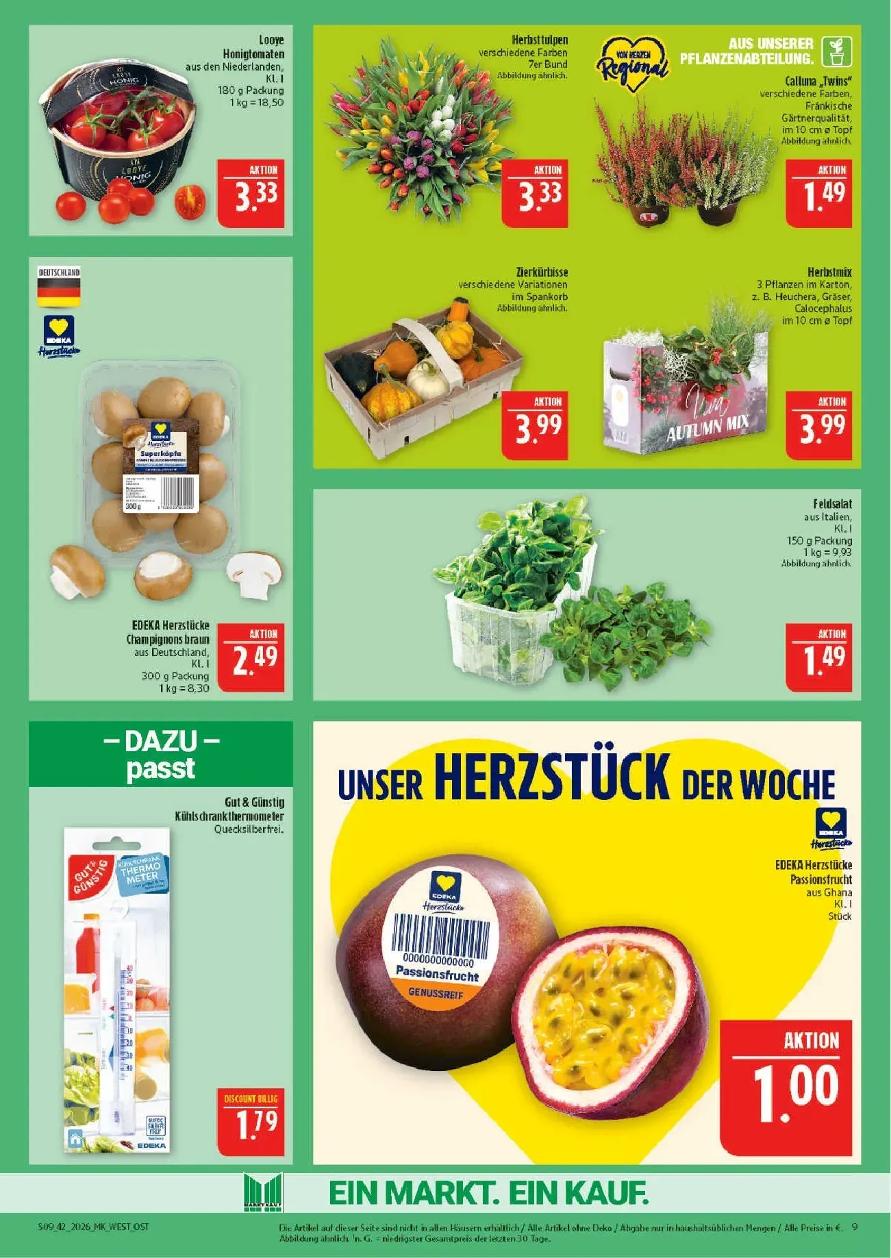 Marktkauf Prospekt – von Montag 12.10.2026 bis Samstag 17.10.2026 von 12. Oktober bis 17. Oktober 2026 - Prospekt seite 9