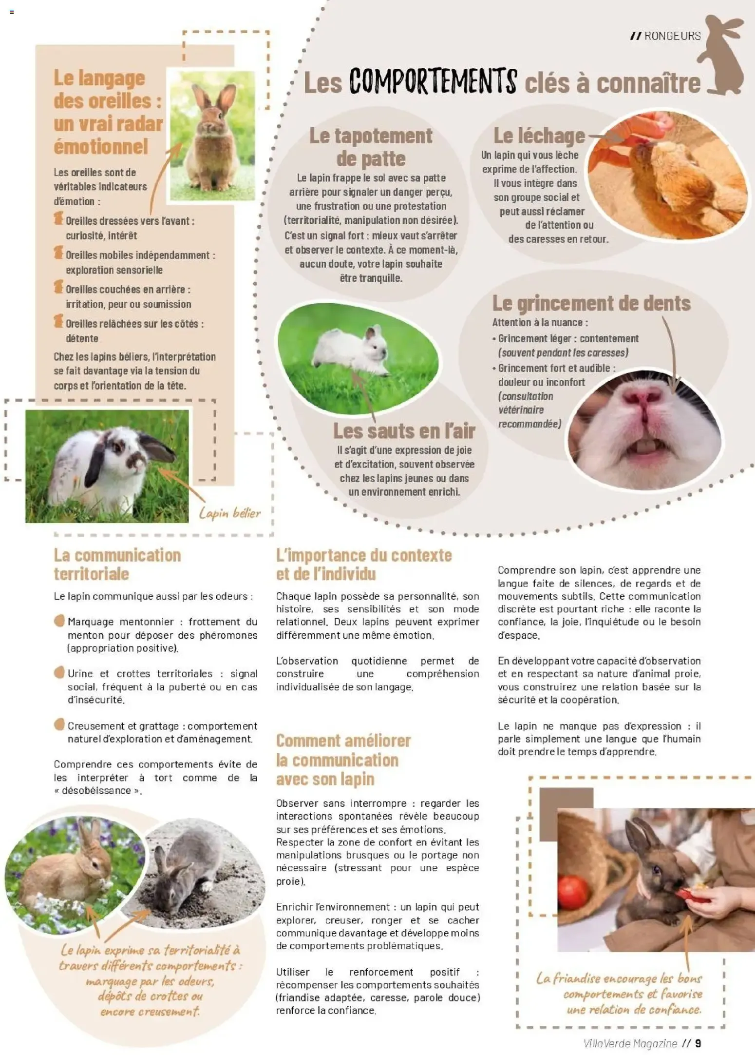 VillaVerde MAGAZINE ANIMALERIE 2026 du 28 mai au 31 août 2026 - Catalogue page 8