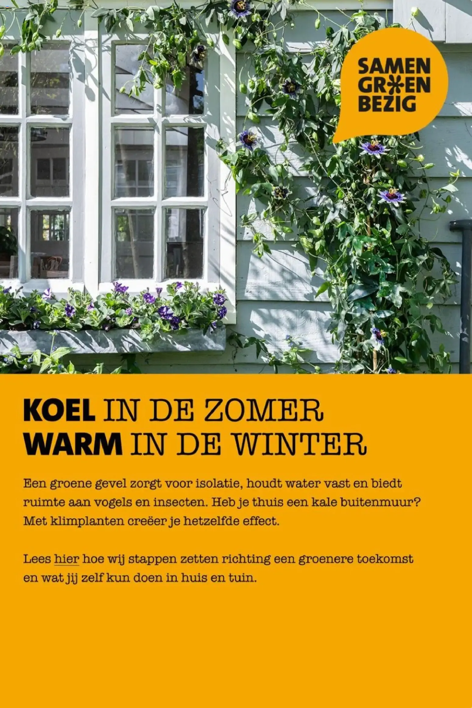 Intratuin: Laat de zomer beginnen! van 22 juni tot 28 juni 2026 - Folder pagina 9