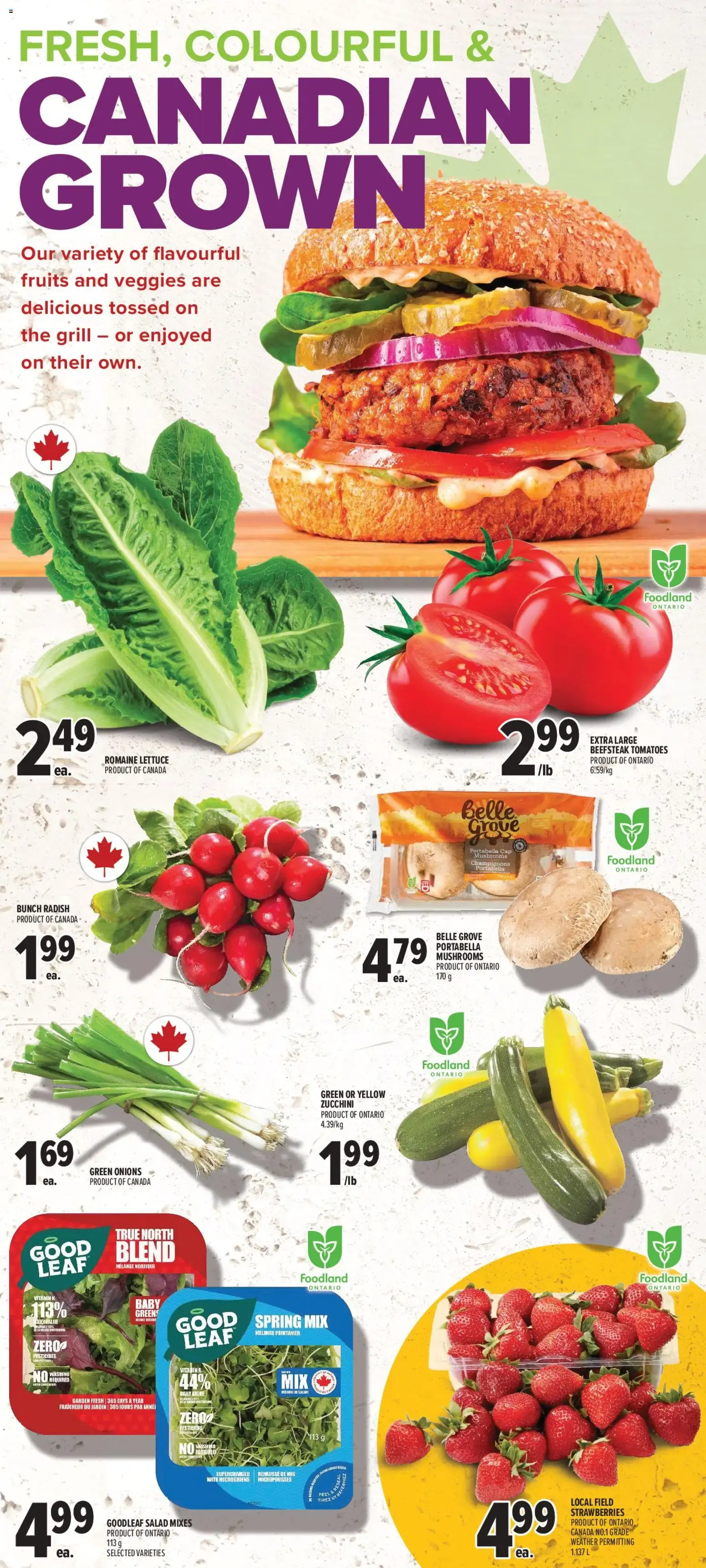 Metro MMMAZING! days from July 23 to July 29 2026 - flyer page 7