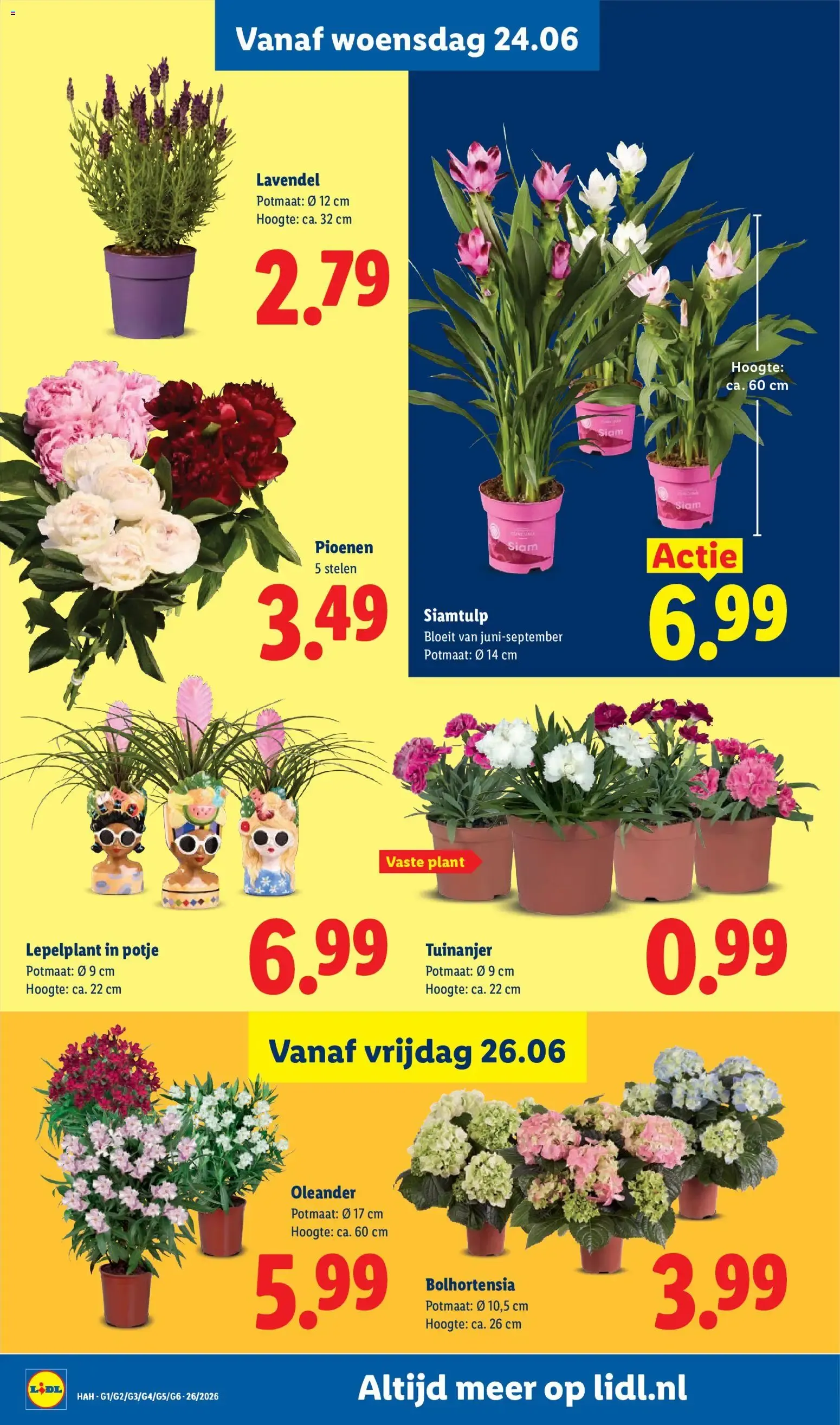 Lidl folder vanaf 22-06-2026 -- NIEUWE van 22 juni tot 28 juni 2026 - Folder pagina 19