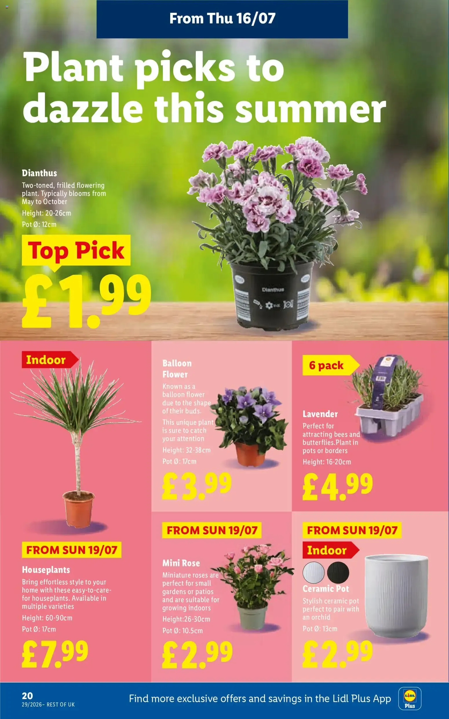 Weekly offers Lidl Scotland (16/07/2026 - 22/07/2026) - Offers Online from 16 July to 22 July 2026 - Catalogue Page 22