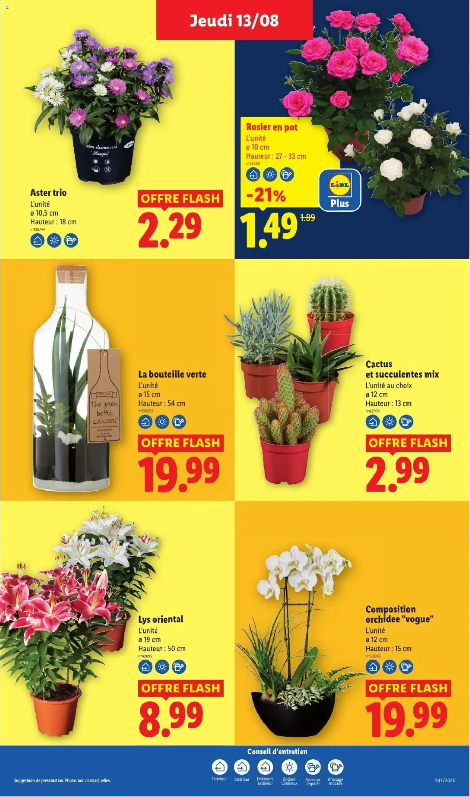 Catalogue LIDL du 13/08/2026 | Promo prospectus en ligne du 13 août au 19 août 2026 - Catalogue page 28