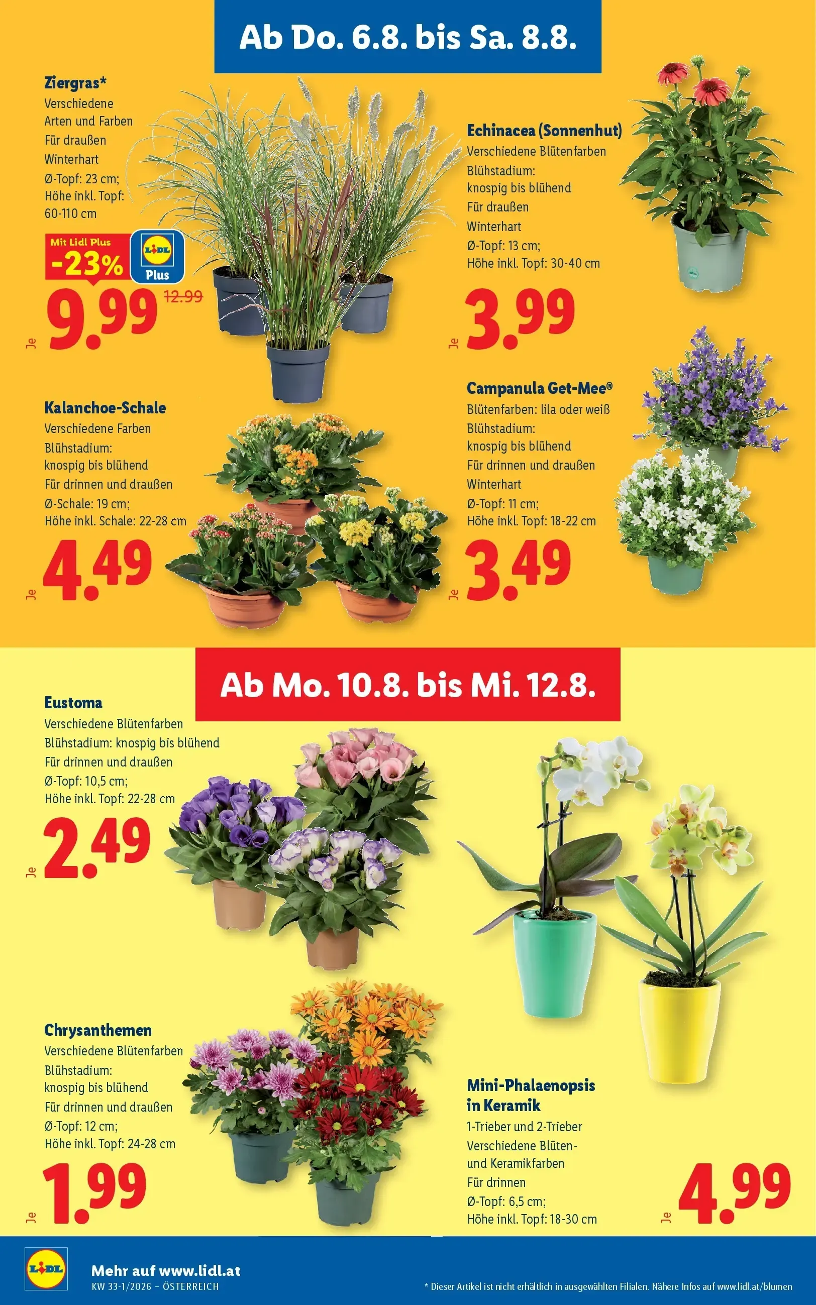 Lidl Plus Österreichs günstigste Preise von 6. August bis 8. August 2026 - Flugblätt seite 29