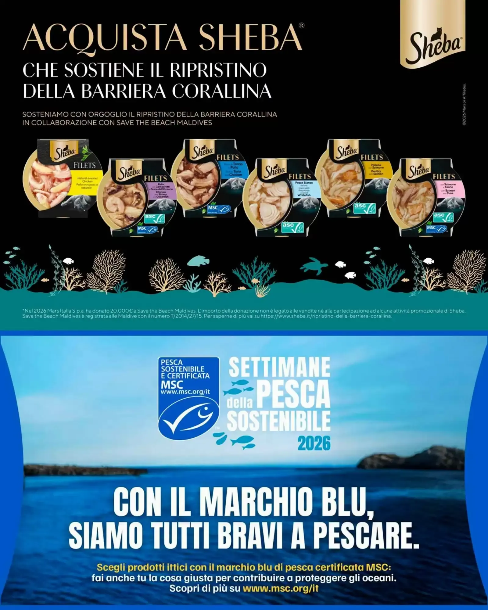 Sheba - Ripristino Barriera Corallina y Pesca Sostenibile da 13 ottobre a 14 ottobre di 2026 - Pagina del volantino 1