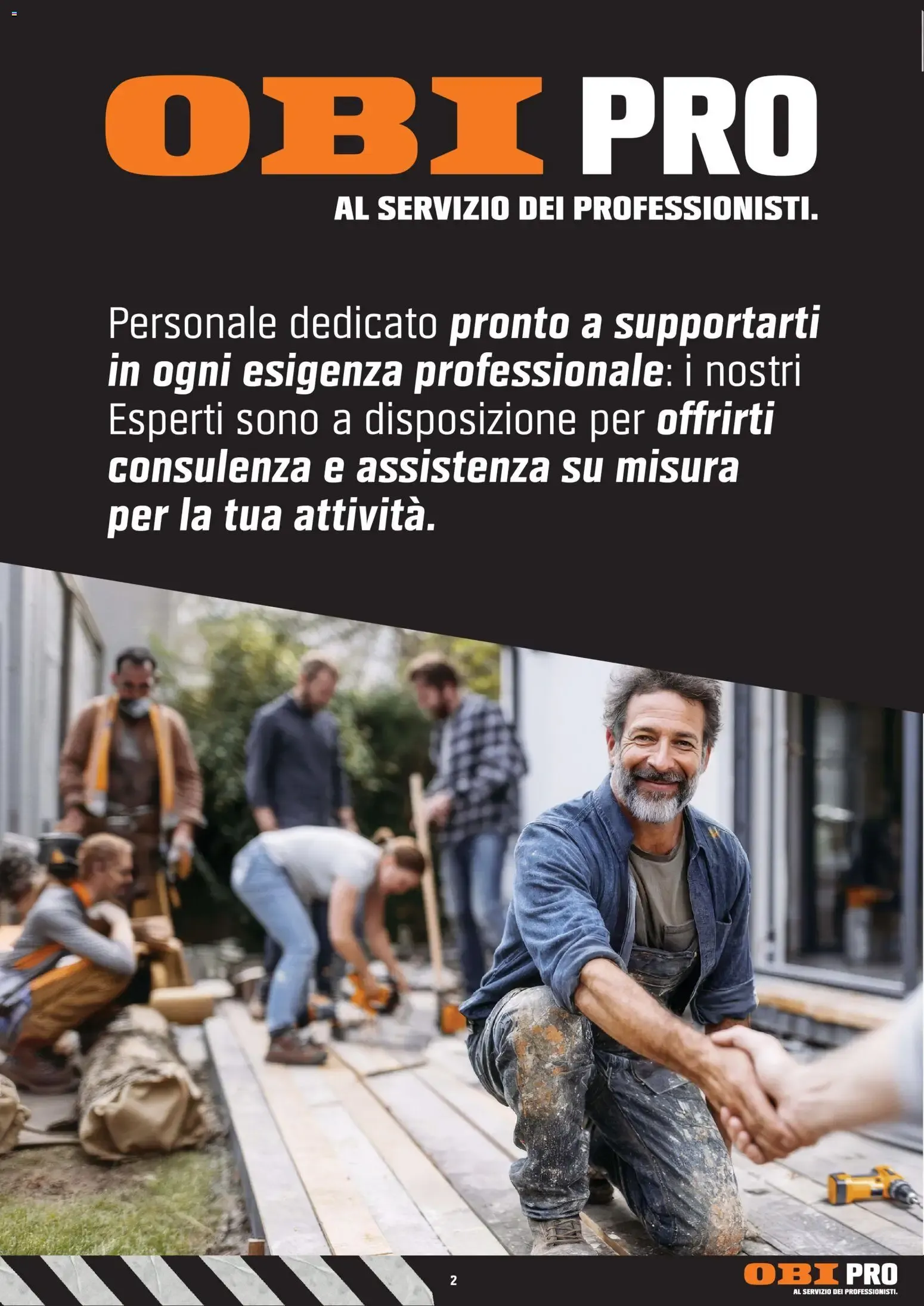 OBI PRO AL SERVIZIO DEI PROFESSIONISTI. da 14 settembre a 30 ottobre di 2026 - Pagina del volantino 2