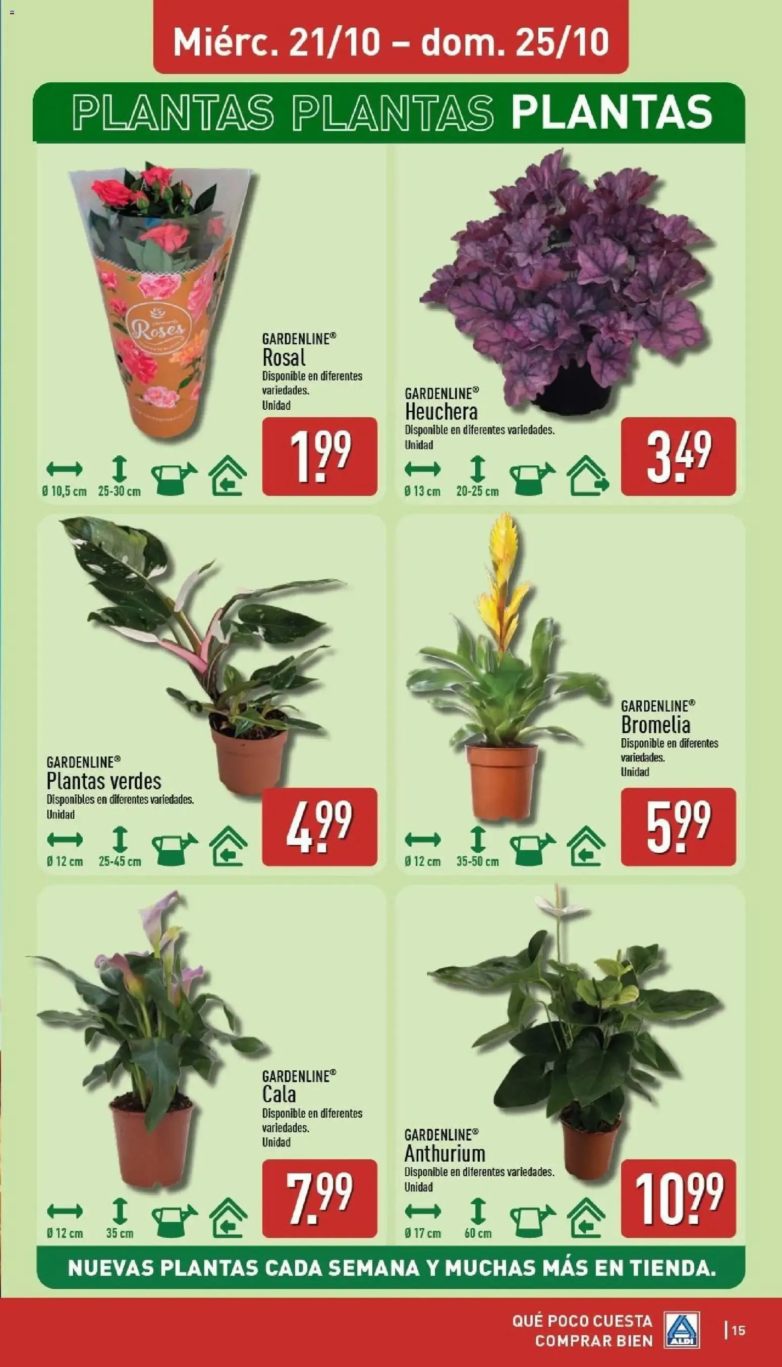 Catálogo de Aldi folleto Península del 19/10/2026 | Catálogo 19 de octubre al 25 de octubre 2026 - Página 15