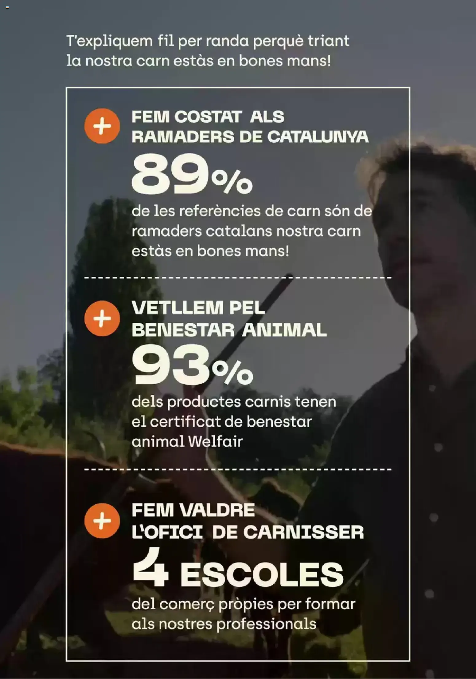 Catálogo de fa bo I SE'NS NOTA 4 de agosto al 31 de agosto 2026 - Página 12