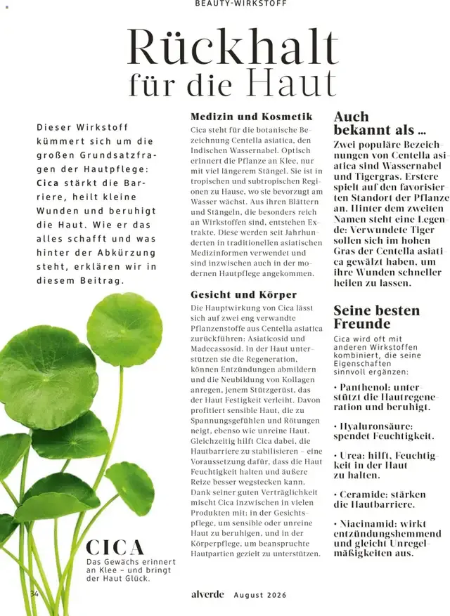 dm Magazin alverde - Will Kinder stark machen von 1. August bis 31. August 2026 - Prospekt seite 34
