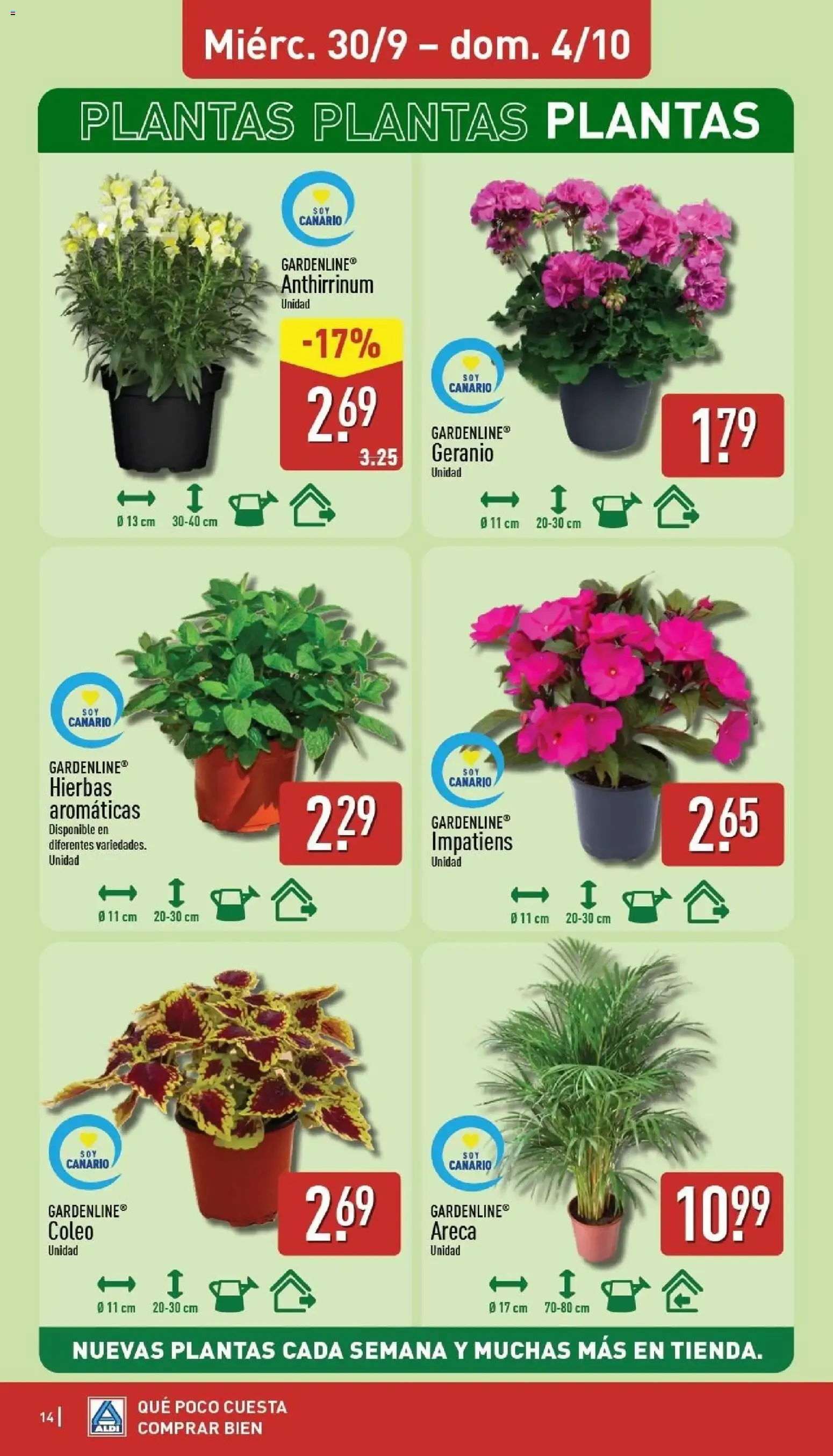 Catálogo de Aldi folleto Canarias del 28/09/2026 | Catálogo 28 de septiembre al 4 de octubre 2026 - Página 13