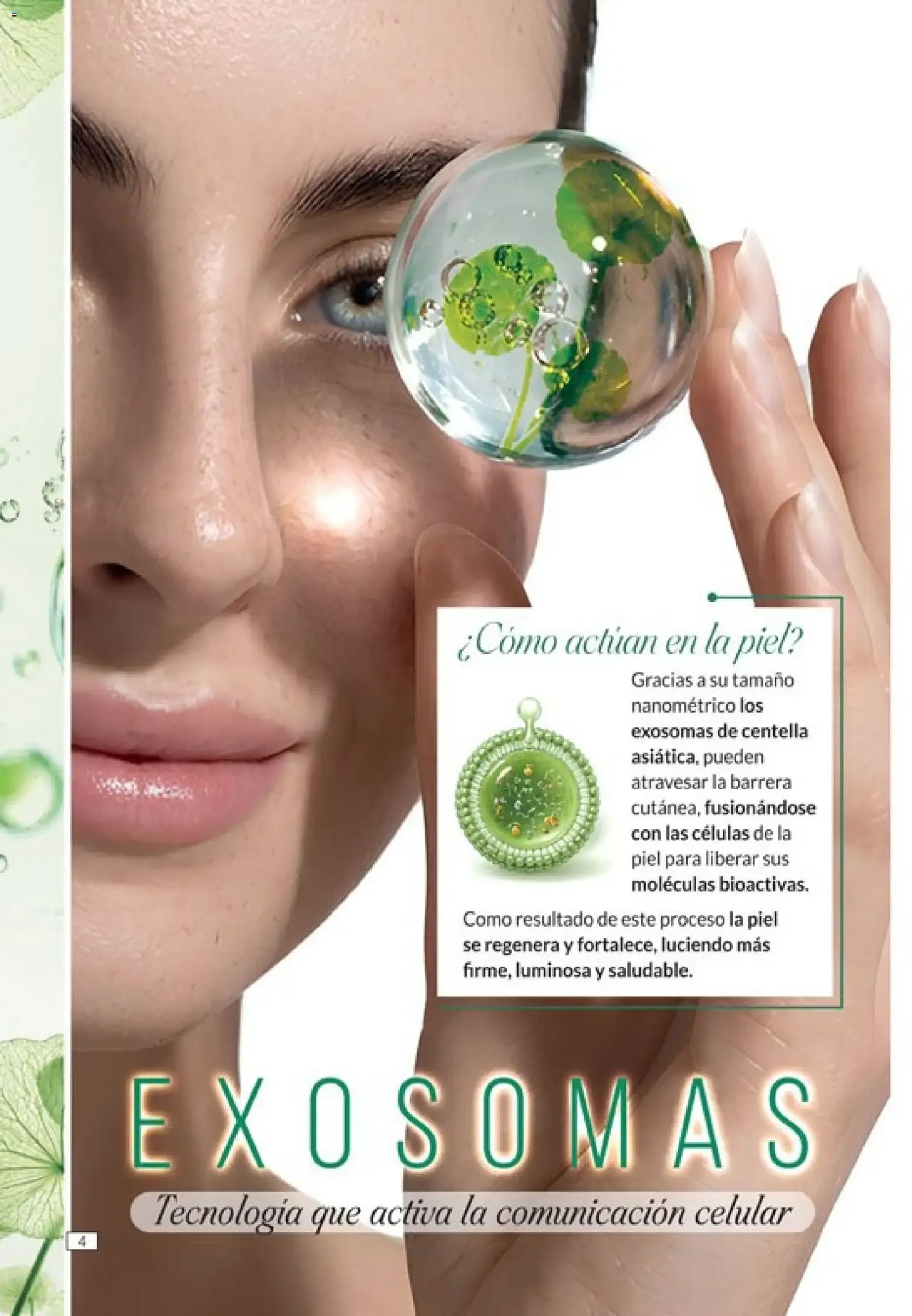 Ofertas de Amodil - Campaña 10 del 01/06/2026 - 30/06/2026 1 de junio al 30 de junio 2026 - Página 4 del catálogo