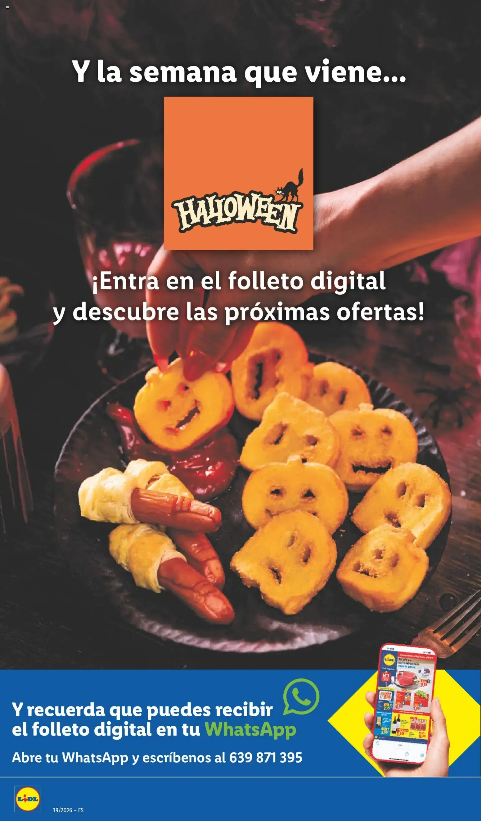 Catálogo de Lidl folleto de bazar del 21/09/2026 | Ofertas 21 de septiembre al 27 de septiembre 2026 - Página 24