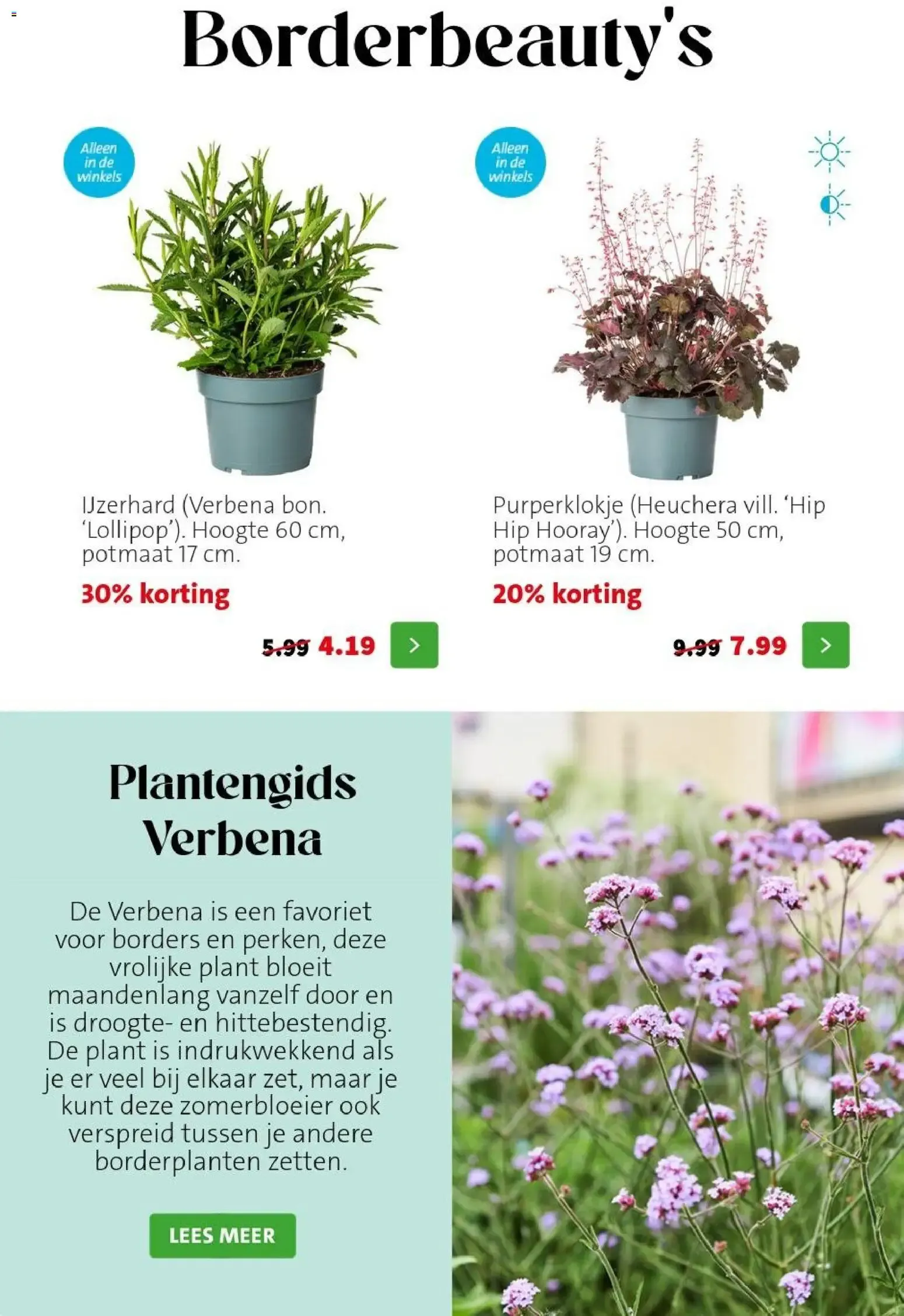 Intratuin Planten-feestje van 20 juli tot 26 juli 2026 - Folder pagina 2