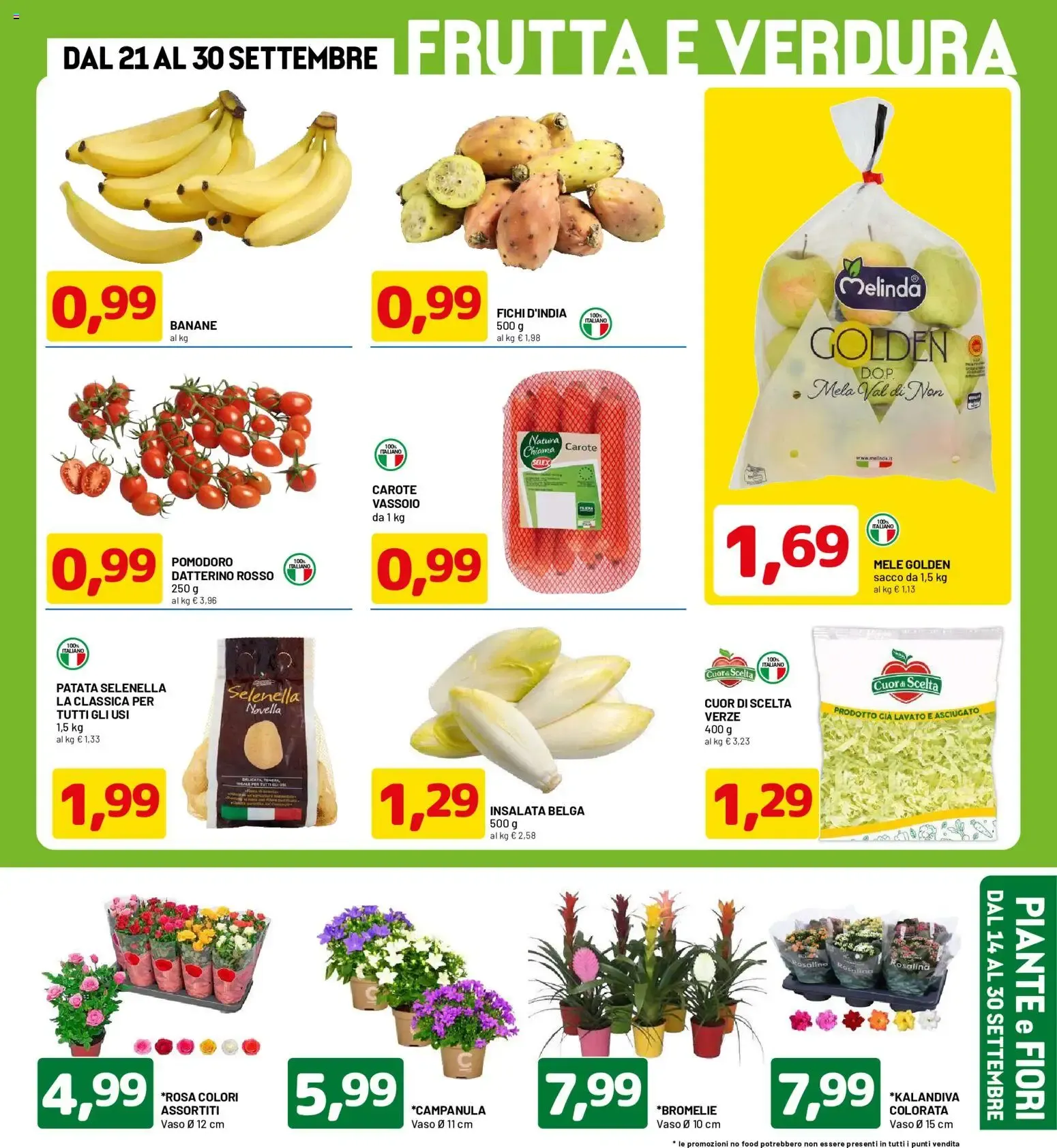 Nuovo D Più volantino dal 14/09/2026 > offerte anteprima 🛍️ da 14 settembre a 30 settembre di 2026 - Pagina del volantino 3