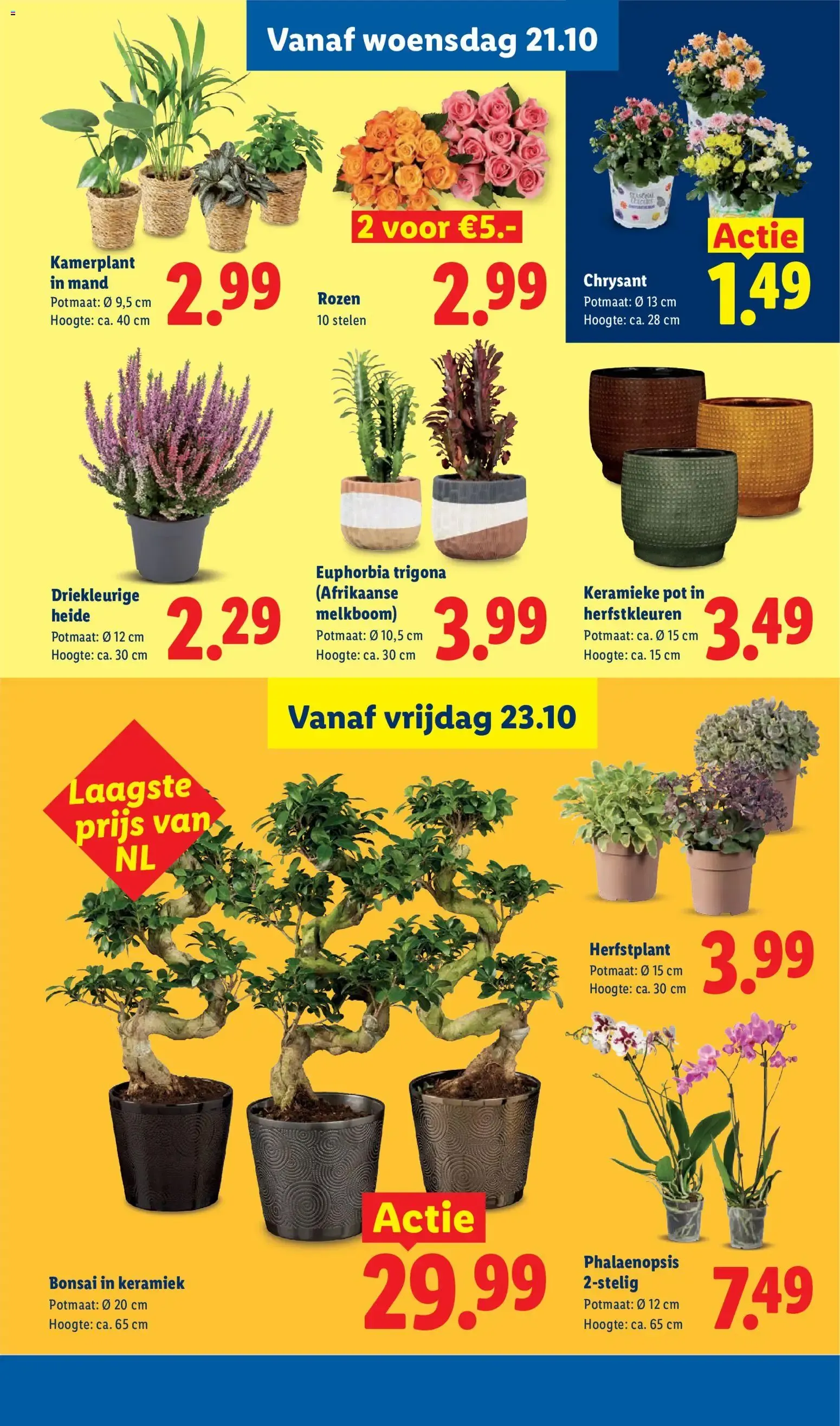 Lidl Deals van 19 oktober tot 25 oktober 2026 - Folder pagina 16