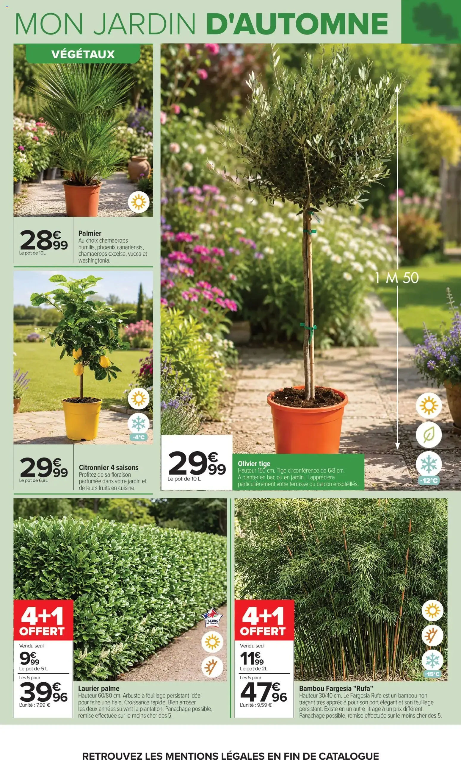 Carrefour Jardin et bricolage à partir du 29/09/2026 - promo en ligne du 29 septembre au 12 octobre 2026 - Catalogue page 4