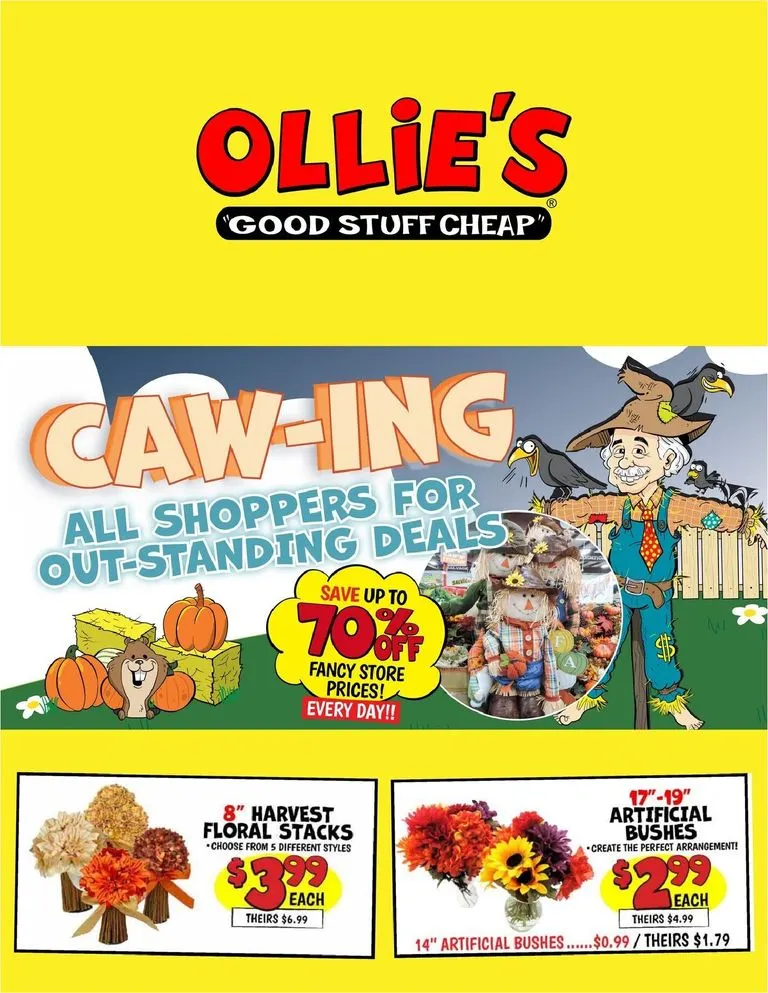 Ollie's: Caw-ing Out-Standing Deals