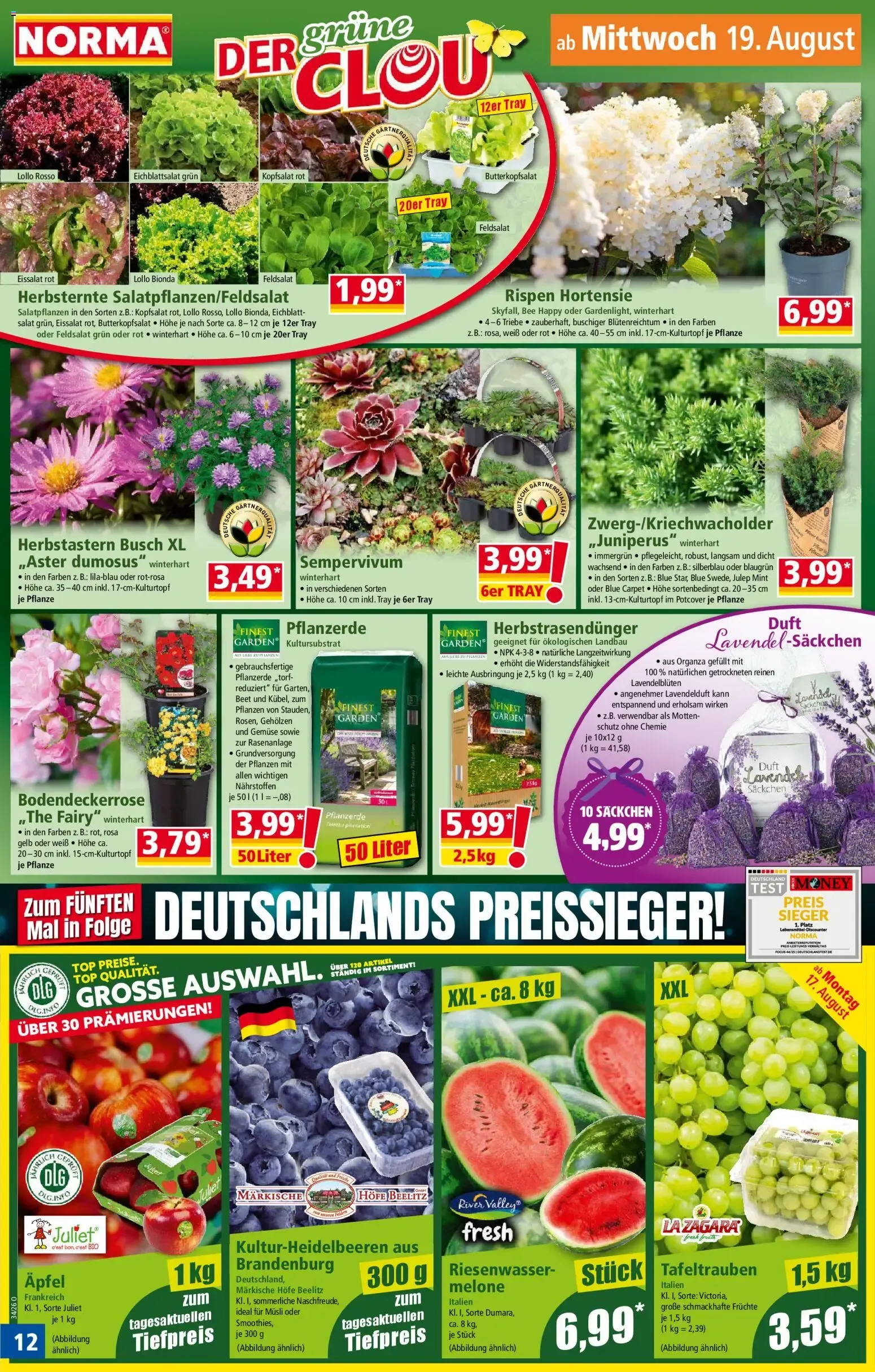 Norma Prospekt (ab 17.08.2026) zum blättern » Angebote von 17. August bis 23. August 2026 - Prospekt seite 12