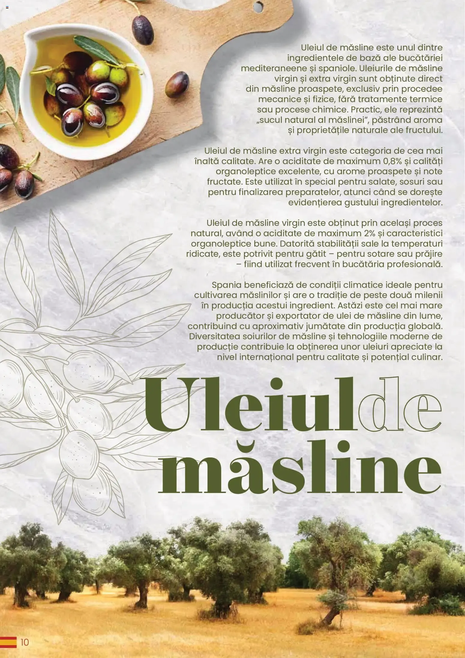 Catalog Metro Catalog Eat Spain, drink Spain - Oferta 30.03.2026 - 31.12.2026 de la 30 martie până la 31 decembrie 2026 - Revista Pagina 10