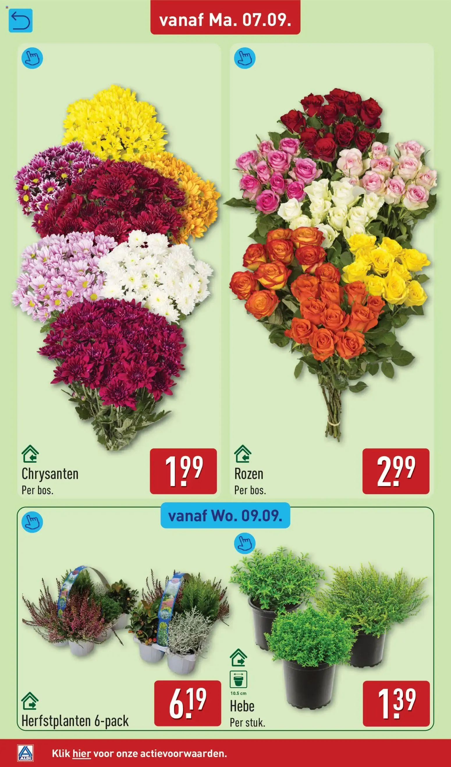Aldi folder vanaf 07-09-2026 (volgende, deze week) van 7 september tot 13 september 2026 - Folder pagina 34