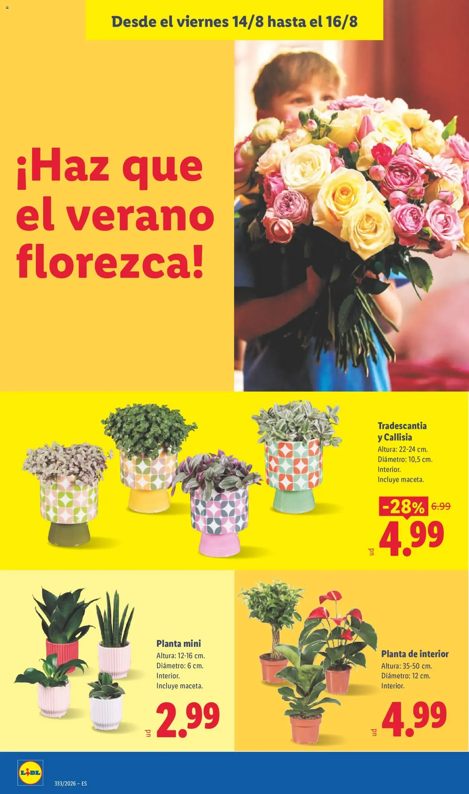 Catálogo de Lidl: Batimos el récord del ahorro 10 de agosto al 16 de agosto 2026 - Página 55