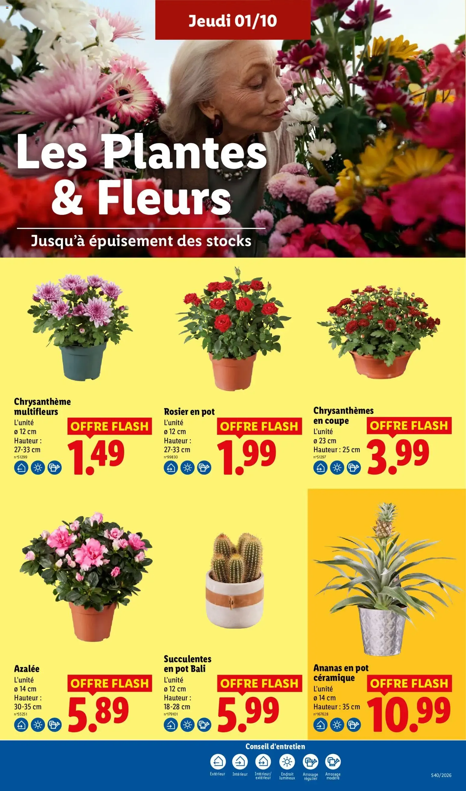 Catalogue LIDL du 01/10/2026 | Promo prospectus en ligne du 1 octobre au 7 octobre 2026 - Catalogue page 29