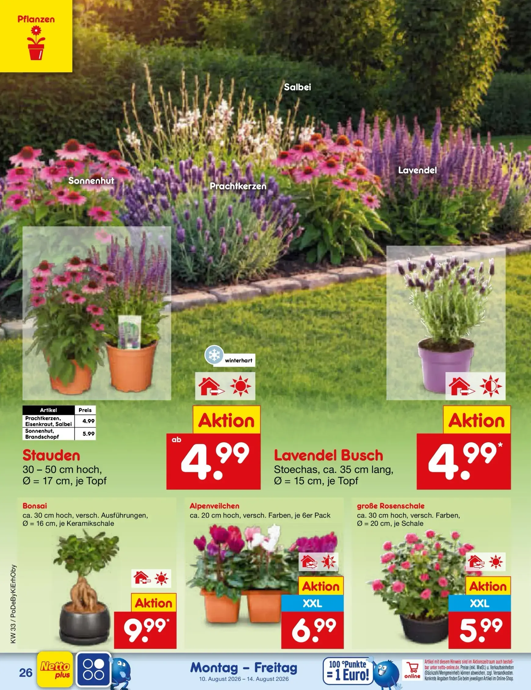 Netto Marken Discount Prospekt nächste Woche – von Montag 10.08.2026 bis Freitag 14.08.2026 von 10. August bis 14. August 2026 - Prospekt seite 39