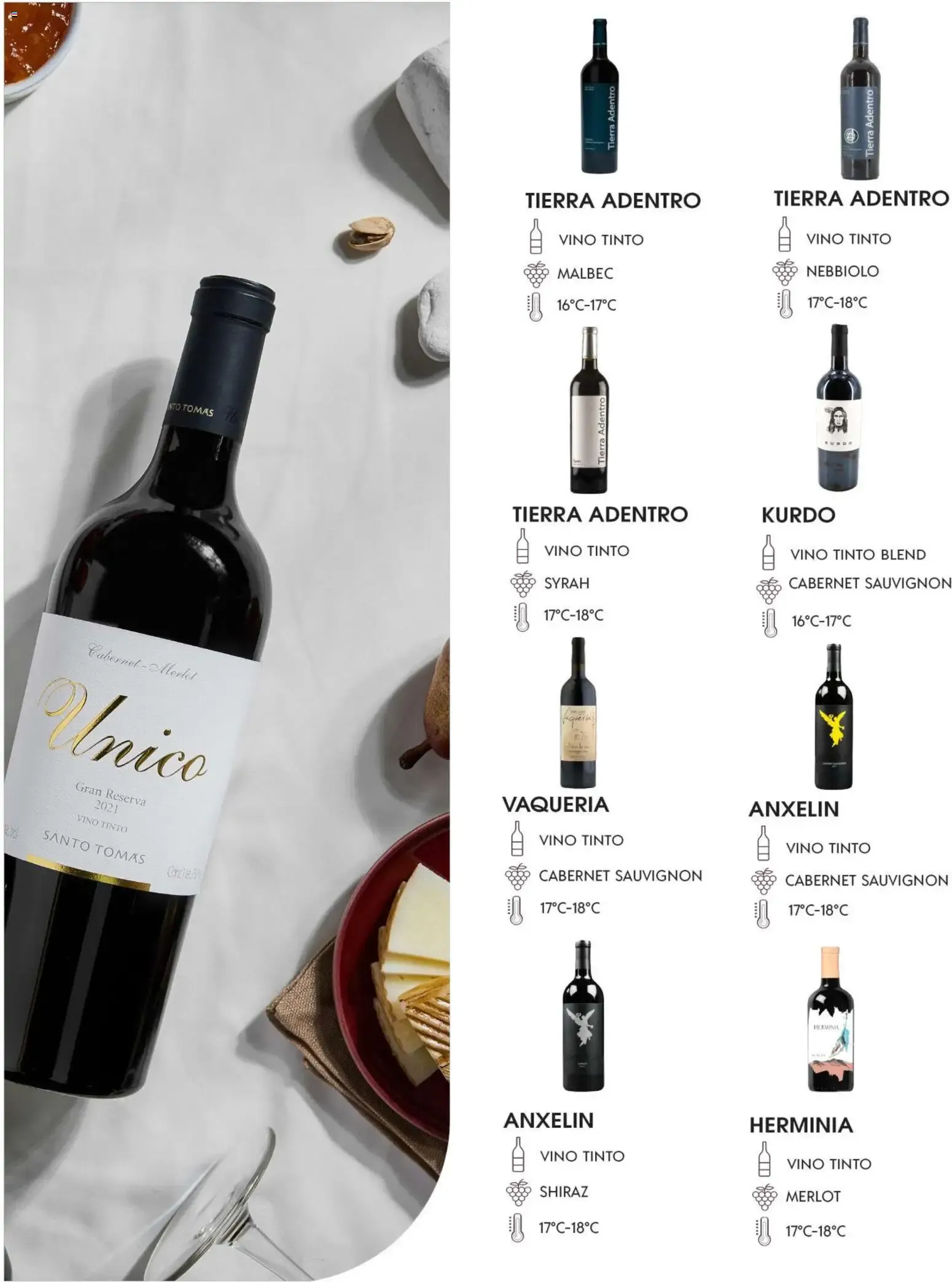 Catálogo de Festival del Vino - Cabernet Sauvignon 29 de septiembre al 29 de septiembre 2026 - Pagina 15