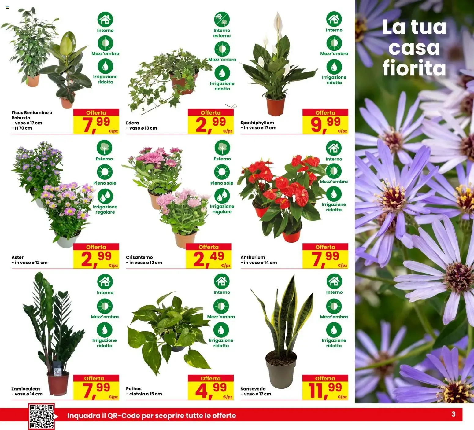 Nuovo Eurospar volantino dal 03/09/2026 > offerte anteprima 🛍️ da 3 settembre a 16 settembre di 2026 - Pagina del volantino 3