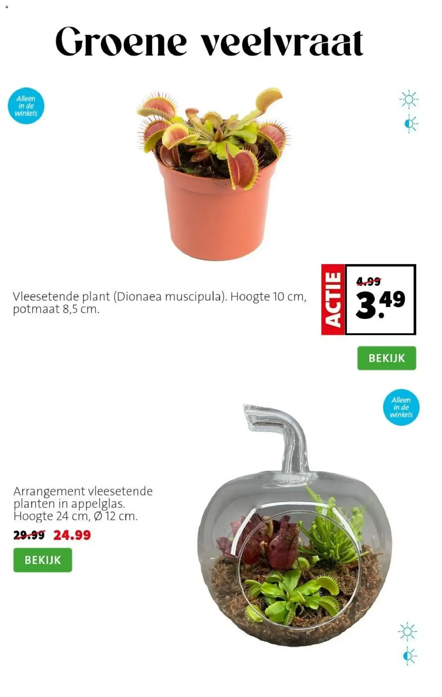 Intratuin: Laat de zomer beginnen! van 22 juni tot 28 juni 2026 - Folder pagina 5