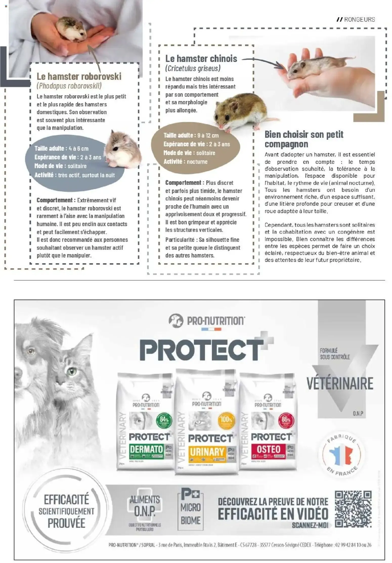 VillaVerde MAGAZINE ANIMALERIE 2026 du 28 mai au 31 août 2026 - Catalogue page 15